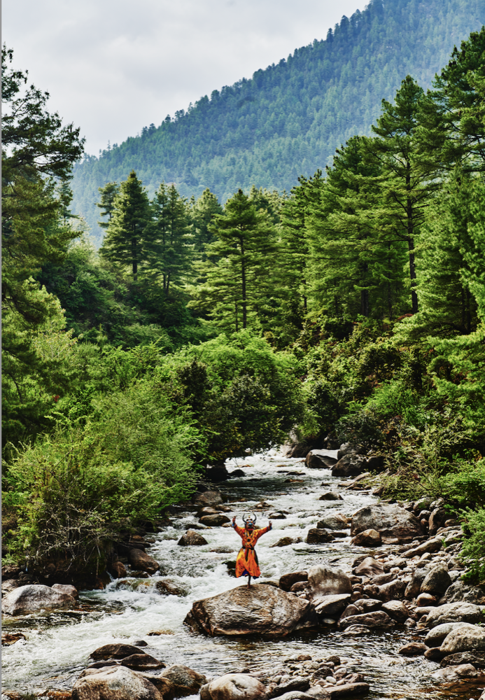 dmX_BHUTAN31.png