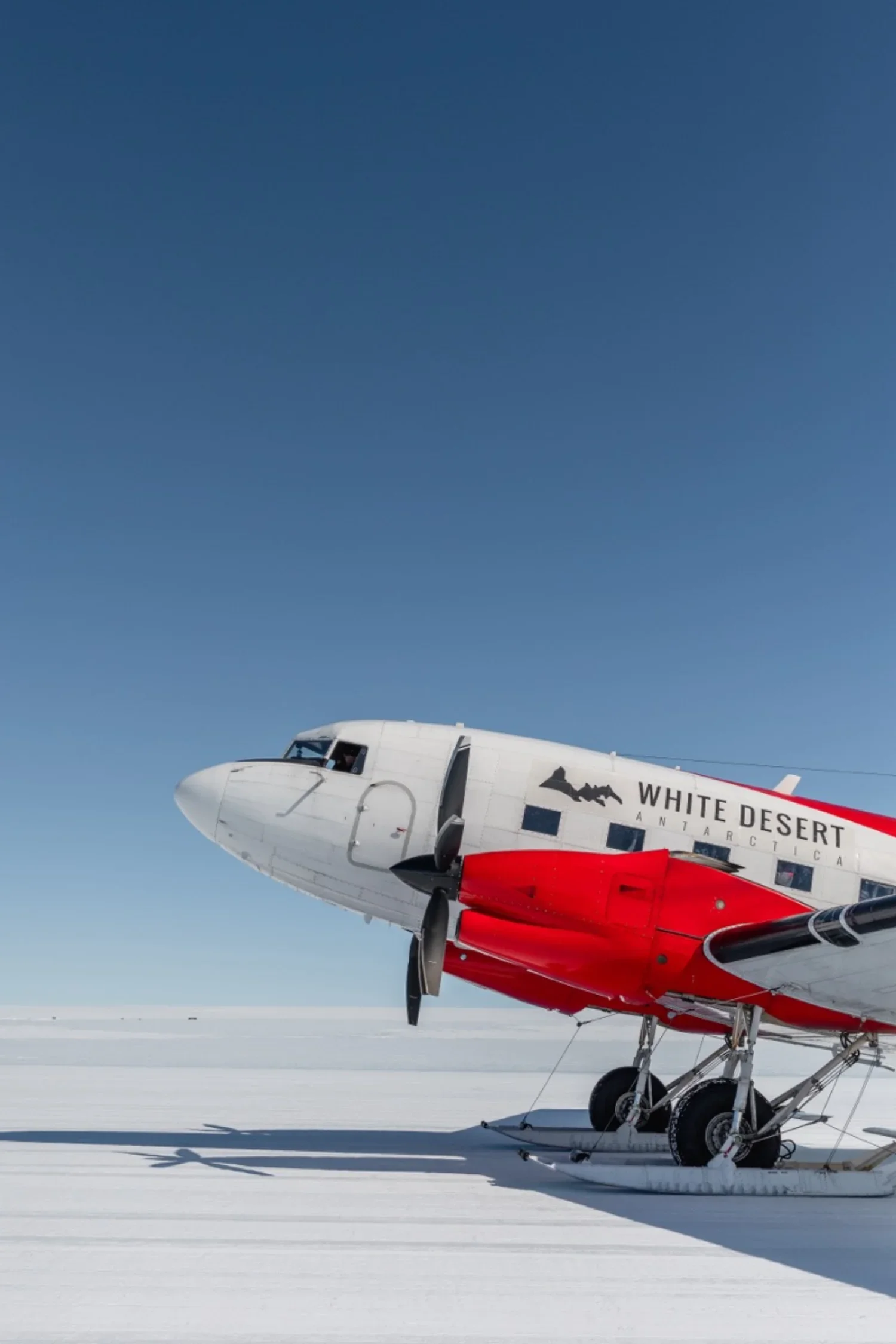 dmX_Antarctica13.webp