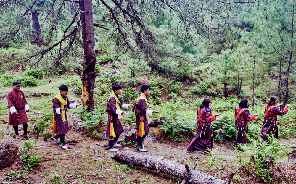 dmX_BHUTAN35.png