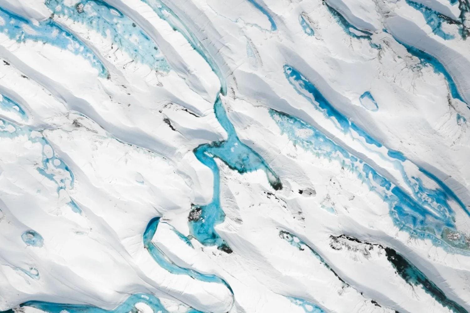 dmX_Antarctica8.webp