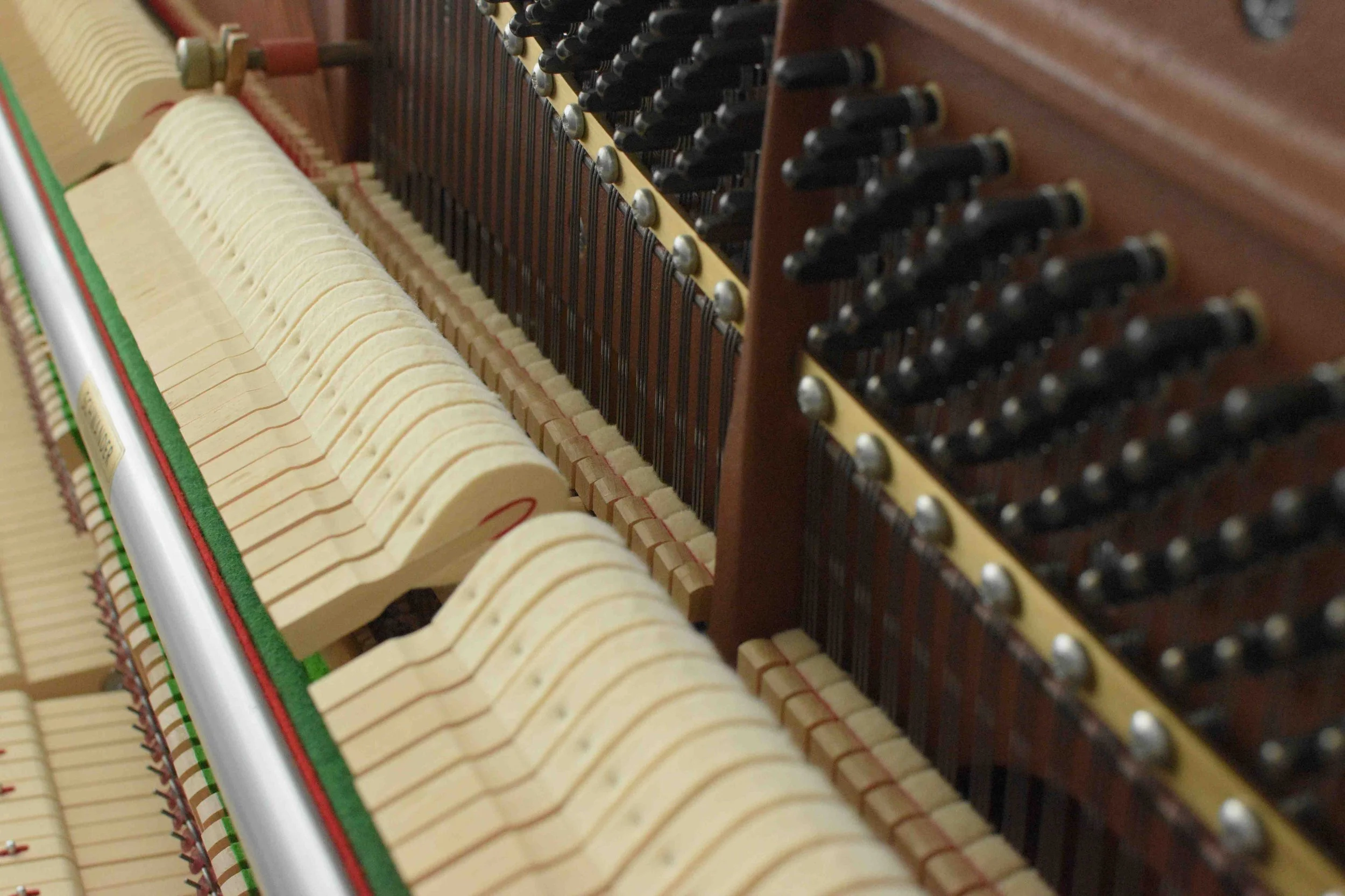 DSC_0315.jpg