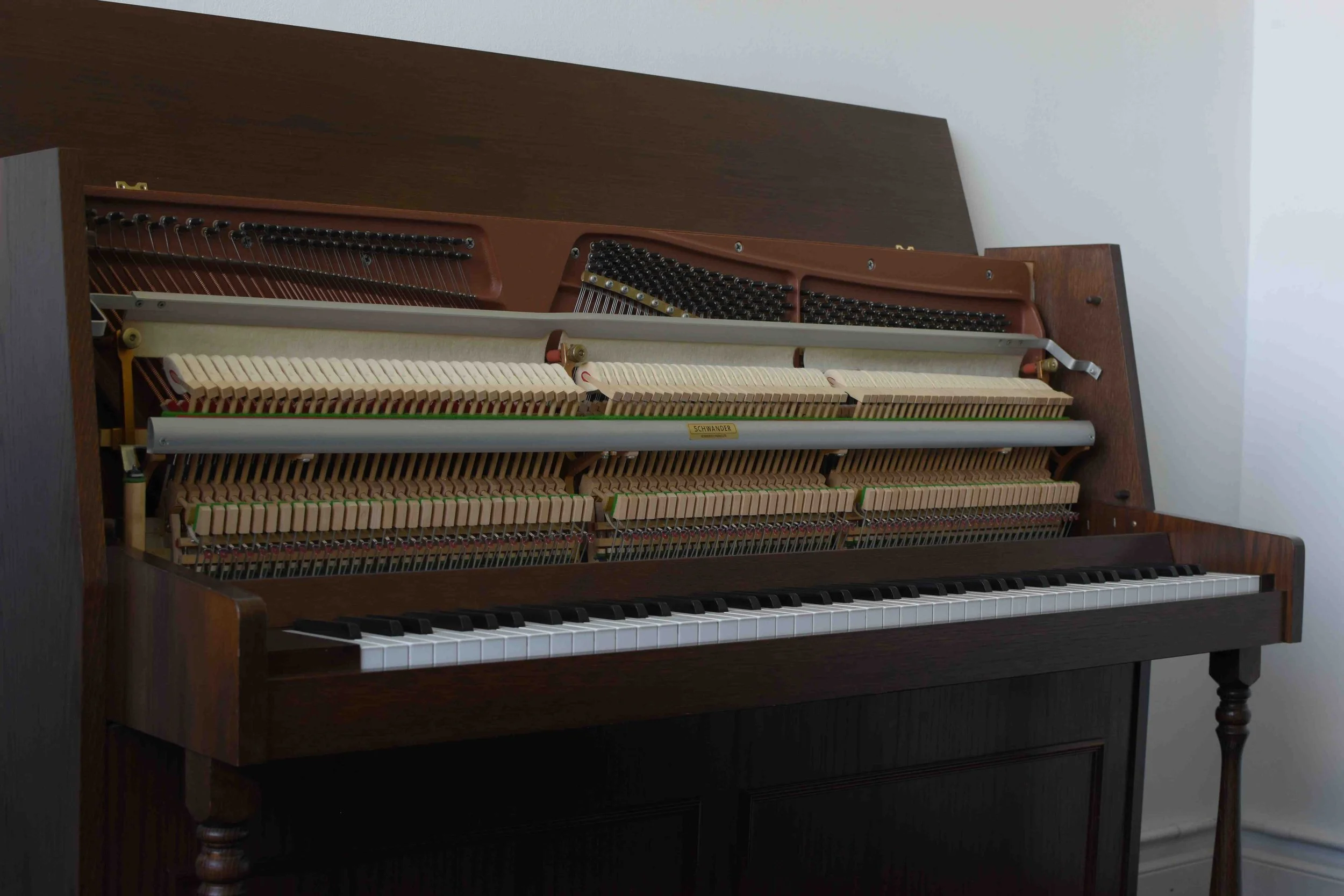 FAZER 109