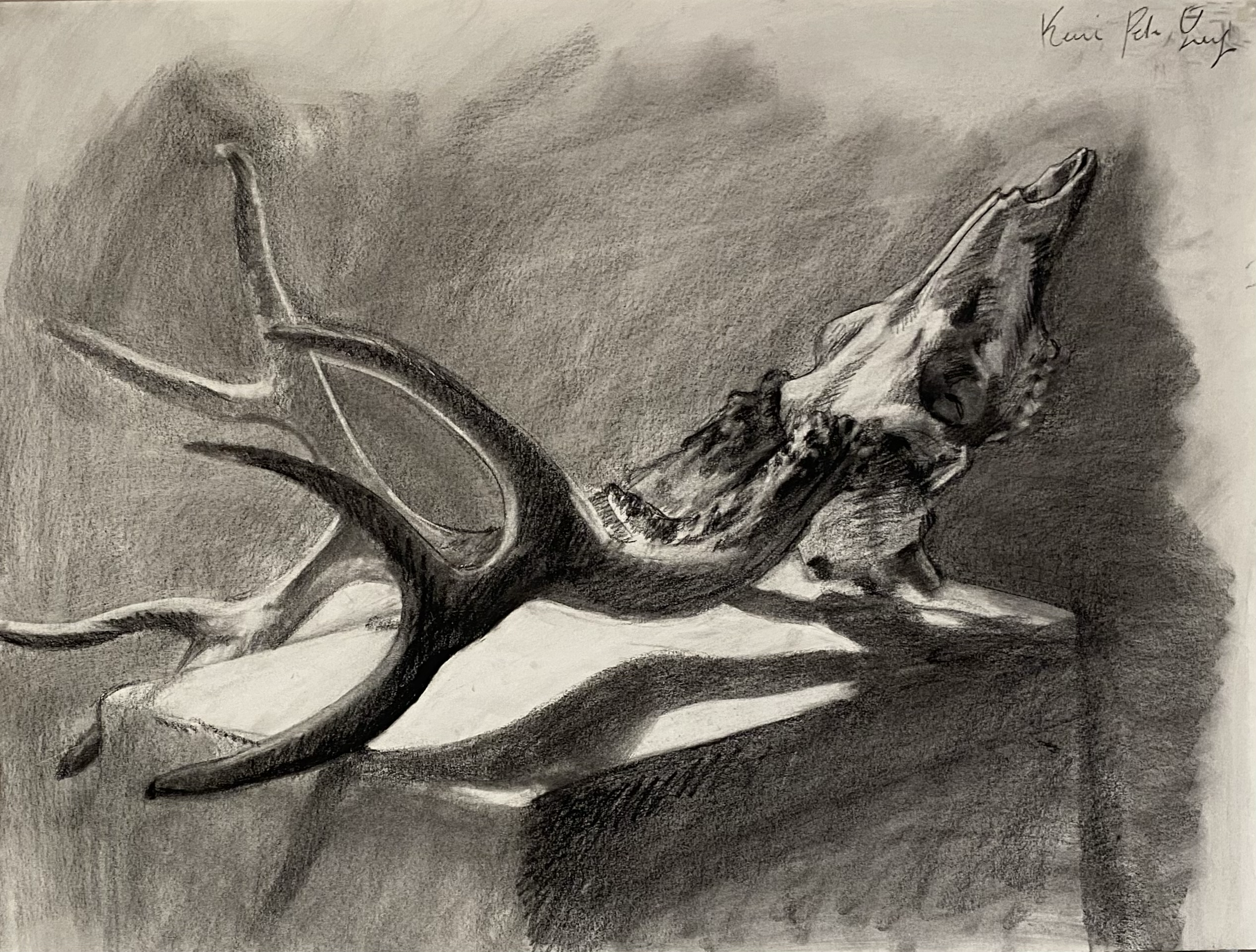 Charcoal on paper, 18 x 24", 2026
