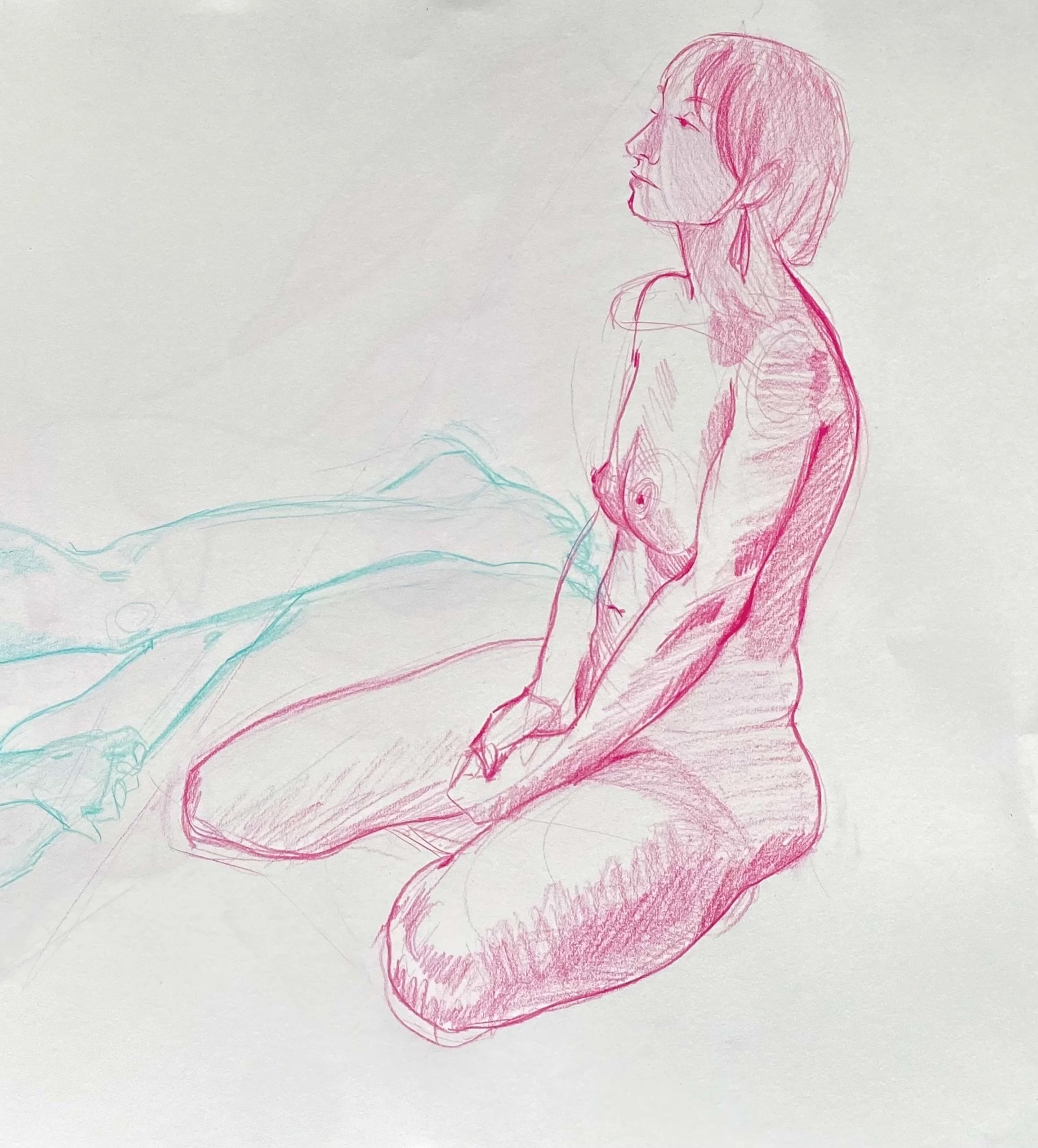 Figure Drawings