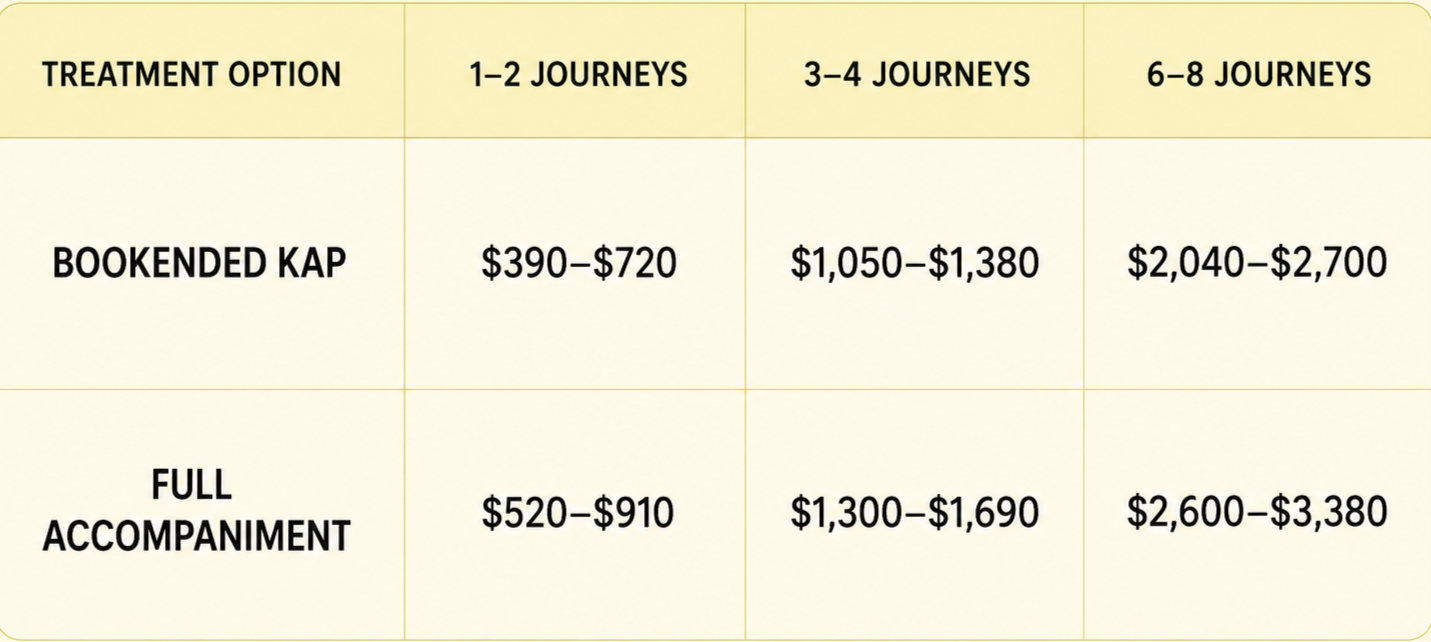 A pricing chart comparing costs for two treatment options, Bookended Kap and Full Accompaniment, based on the number of journeys, from 1-2, 3-4, to 6-8 journeys.