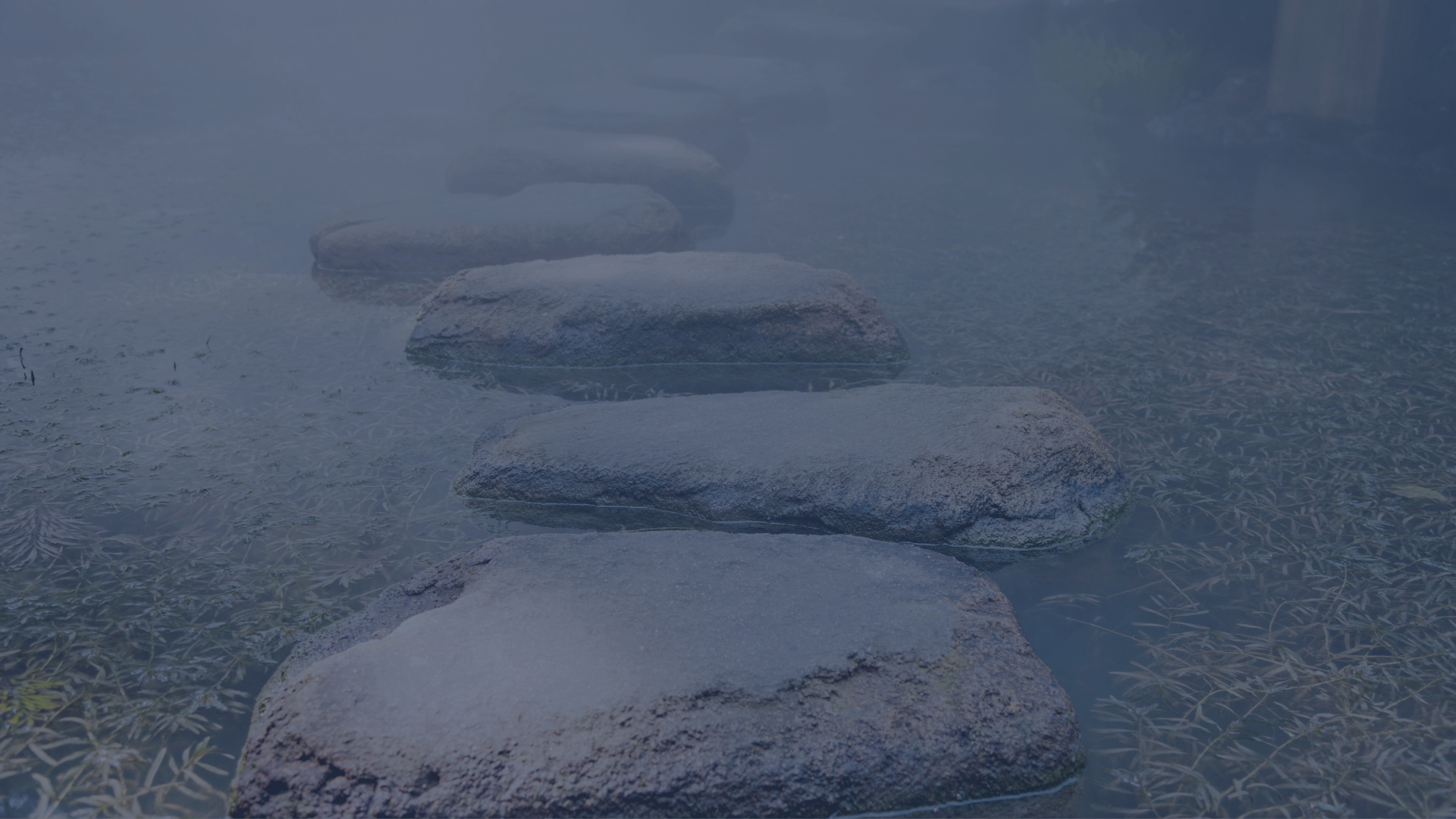 The Life Your Soul Keeps Calling You Towards