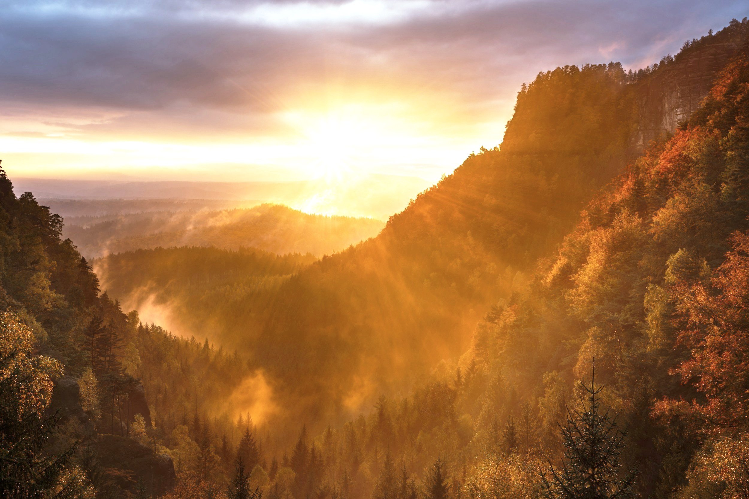 At the Height of Light: Reflections on the Summer Solstice