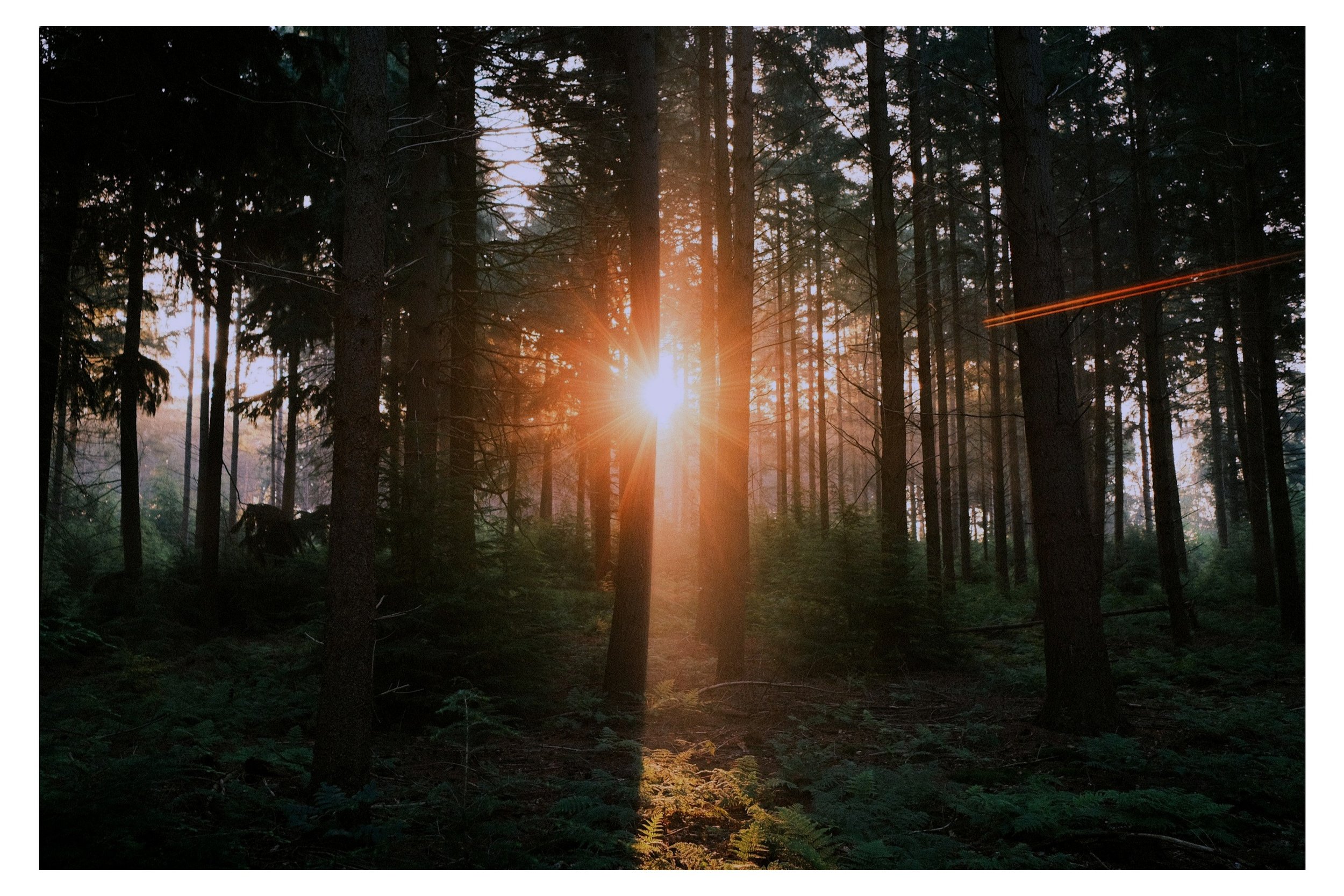 Weekly Transits - July 13 - July 19, 2026
