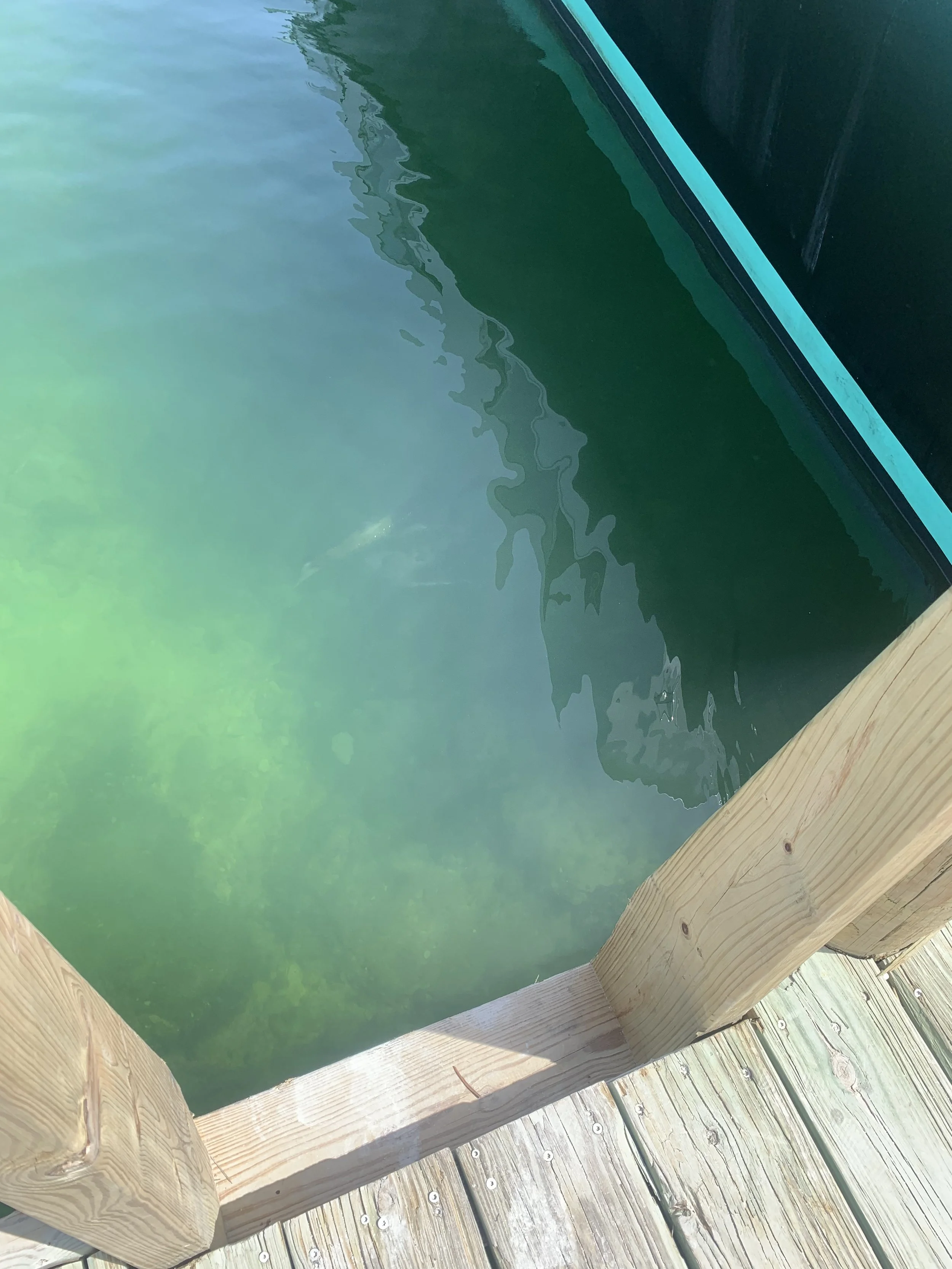 Close-up of a boat docked at a wooden pier, with green water reflecting the boat and a wooden railing in the foreground.