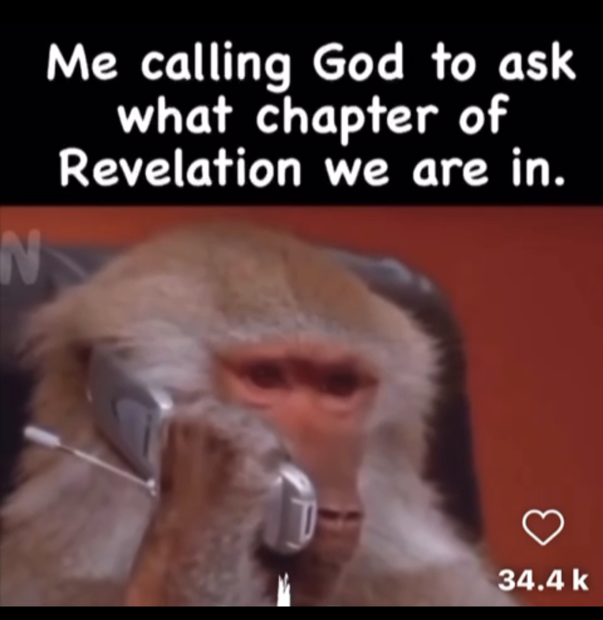 A monkey holding a phone to its ear, with text overlay that reads 'Me calling God to ask what chapter of Revelation we are in.'