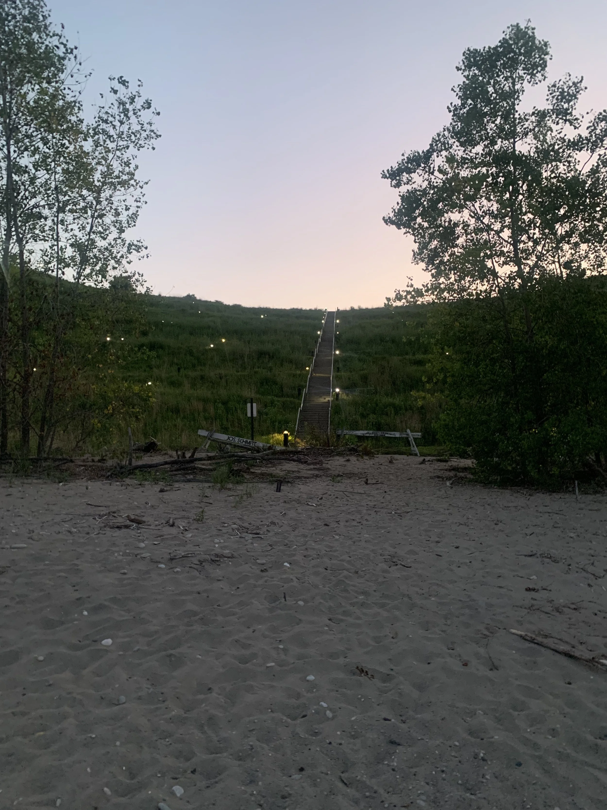 A set of stairs leading up a grassy hillside, with small lights along the sides, surrounded by trees and vegetation during twilight.