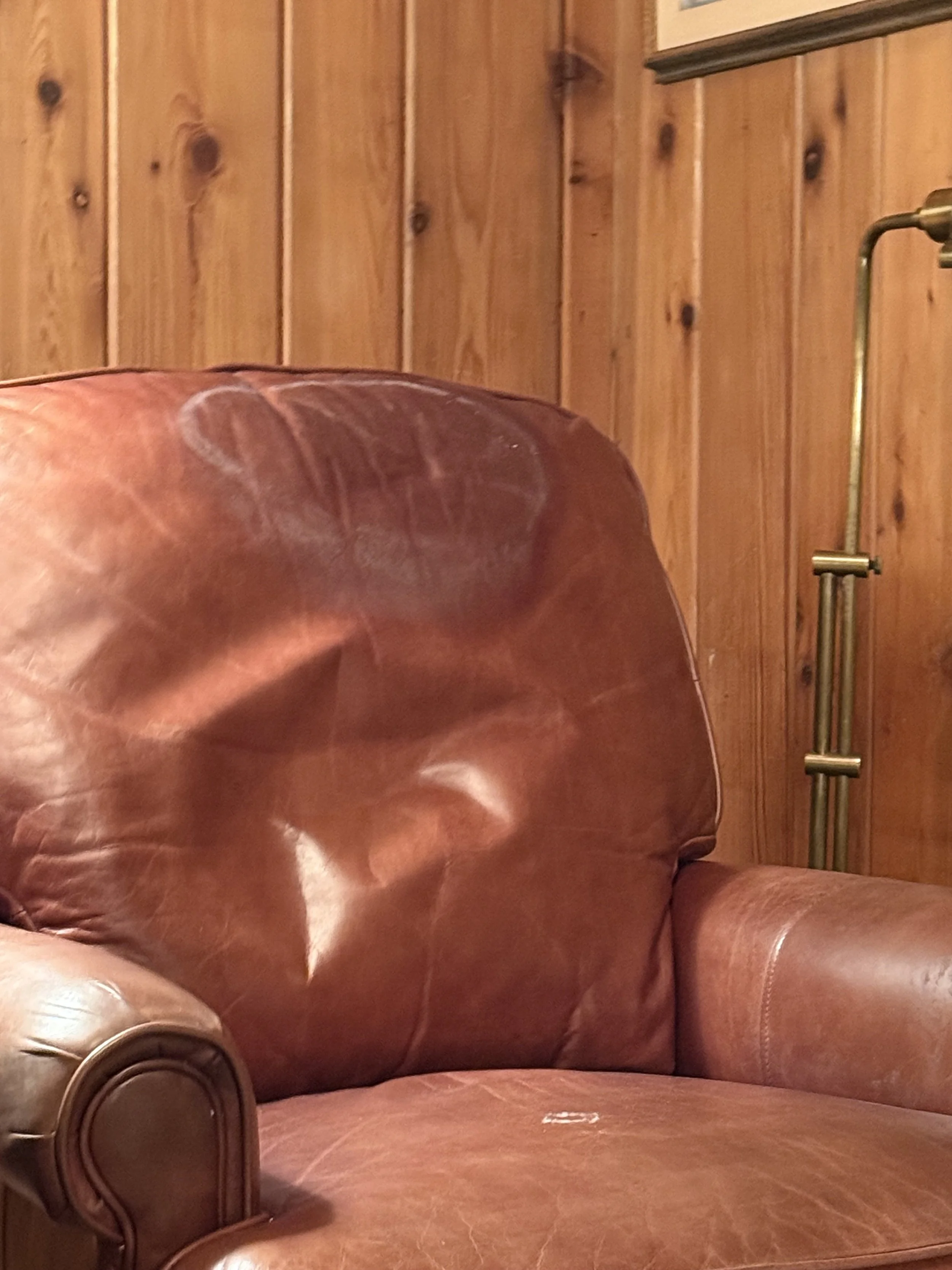 A leather couch with a reddish-brown color and a rolled armrest, set against a wooden-paneled wall. There is a metal lamp or stand partially visible on the right side of the image.