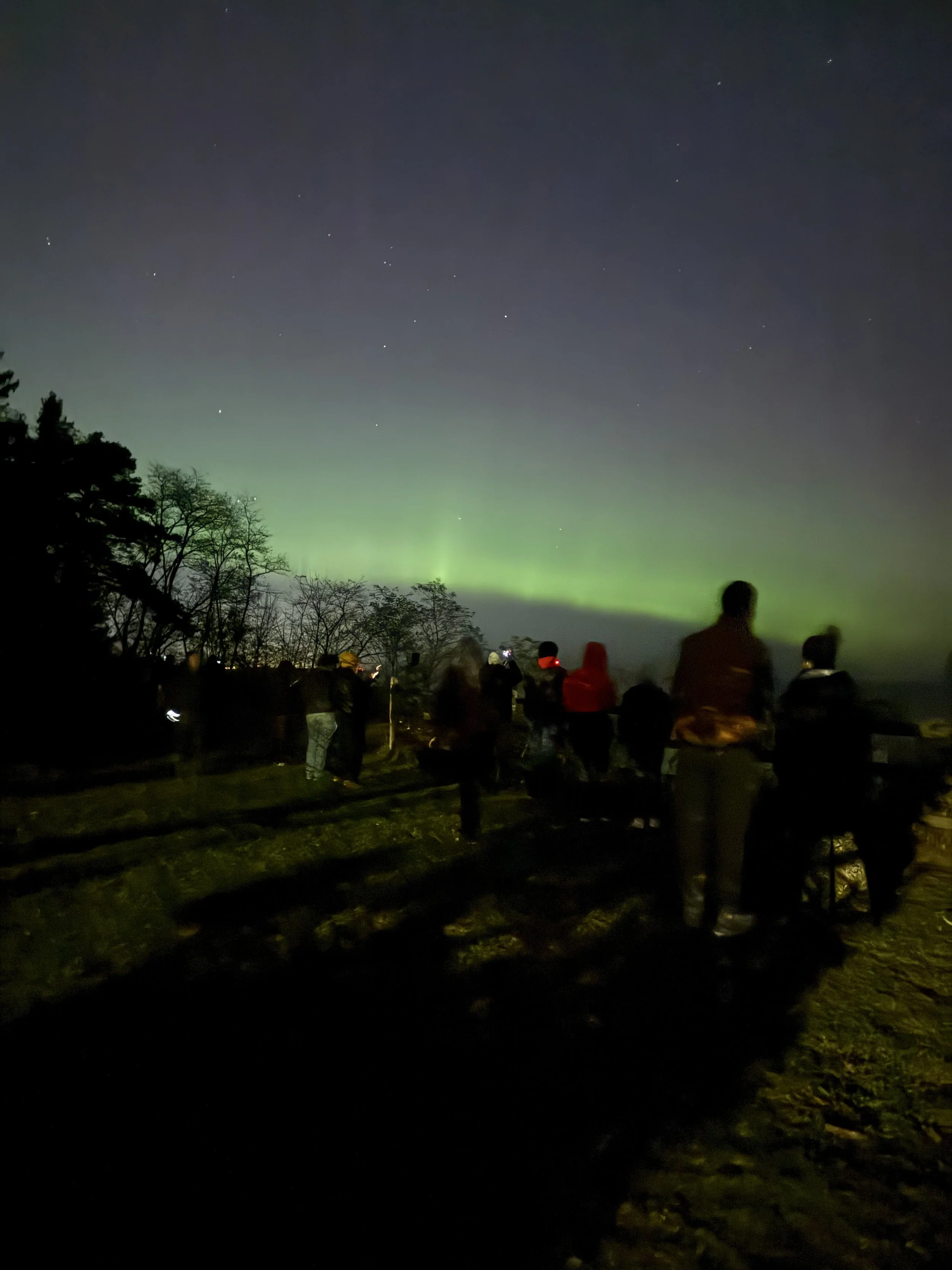 Night scene with spectators observing the northern lights and stars in the sky, with silhouettes of trees and a person in the lower right corner.