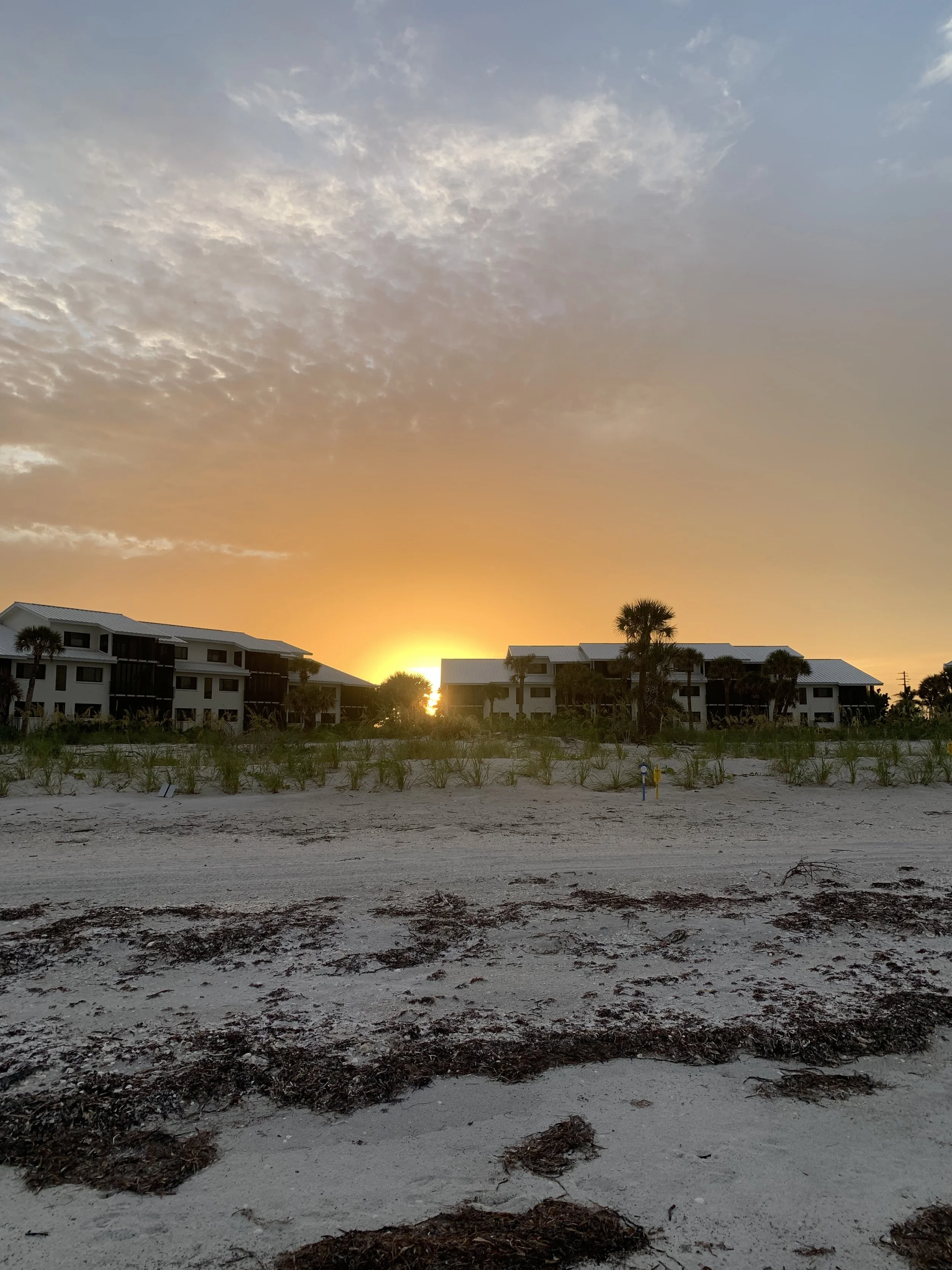 Sunset over a beach with white sand, seaweed scattered on the shore, and residential buildings with palm trees in the background.