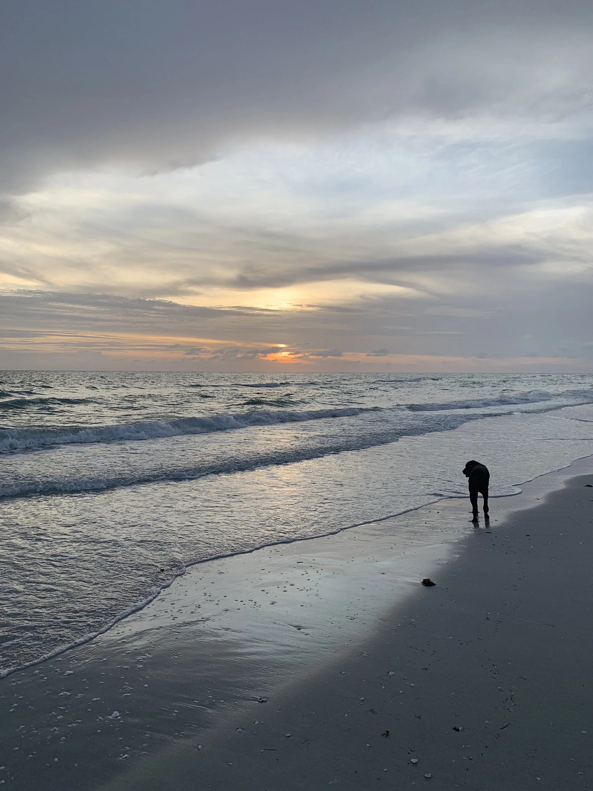 A person walks along the shoreline at sunset, with a cloudy sky overhead and ocean waves gently crashing on the sand.