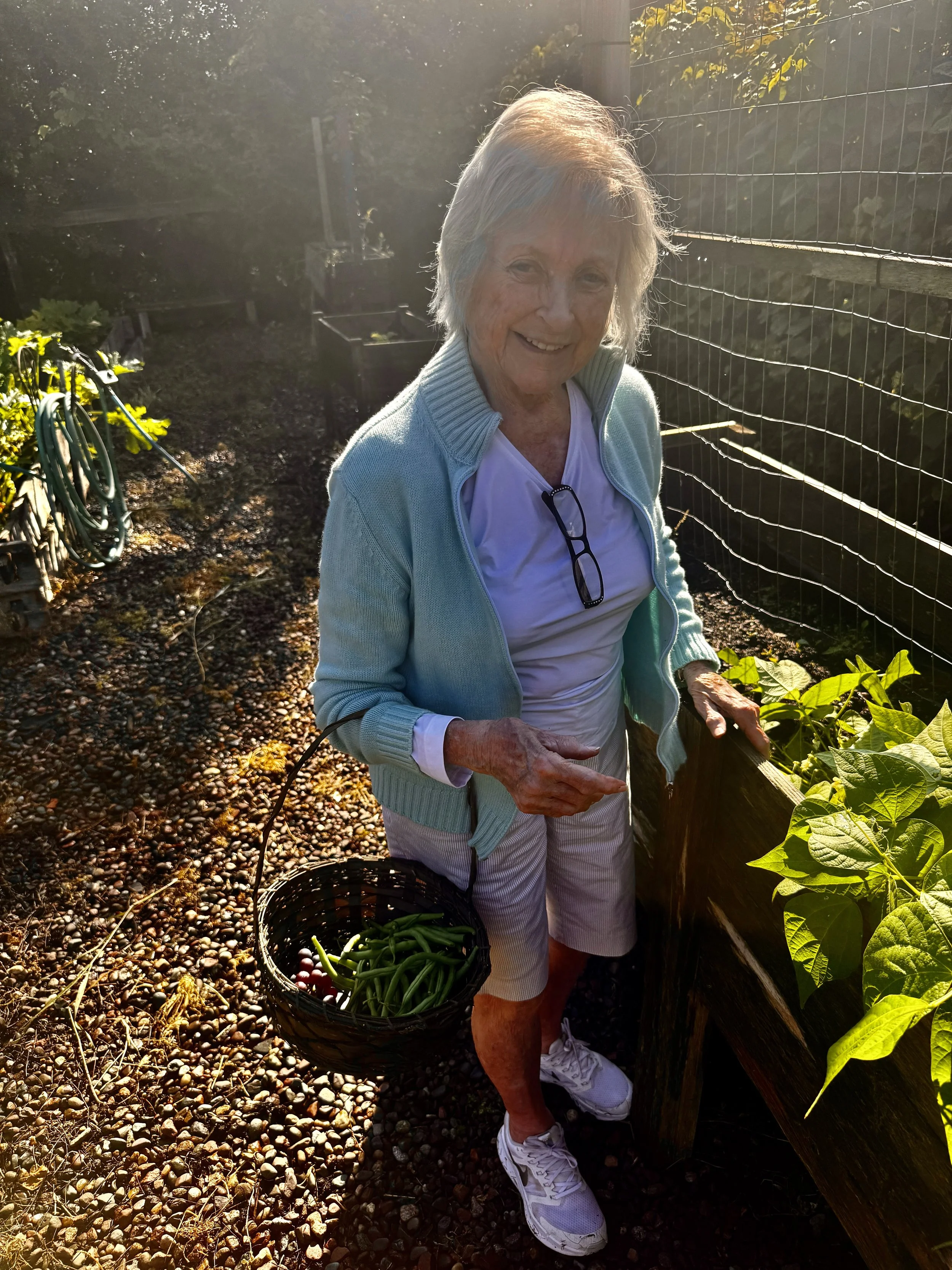 An elderly woman with gray hair smiling, wearing a light blue jacket, white shirt, and white sneakers, standing in a garden holding a black basket filled with green beans and purple beans, with a sunlight backdrop and a wire fence to her right.
