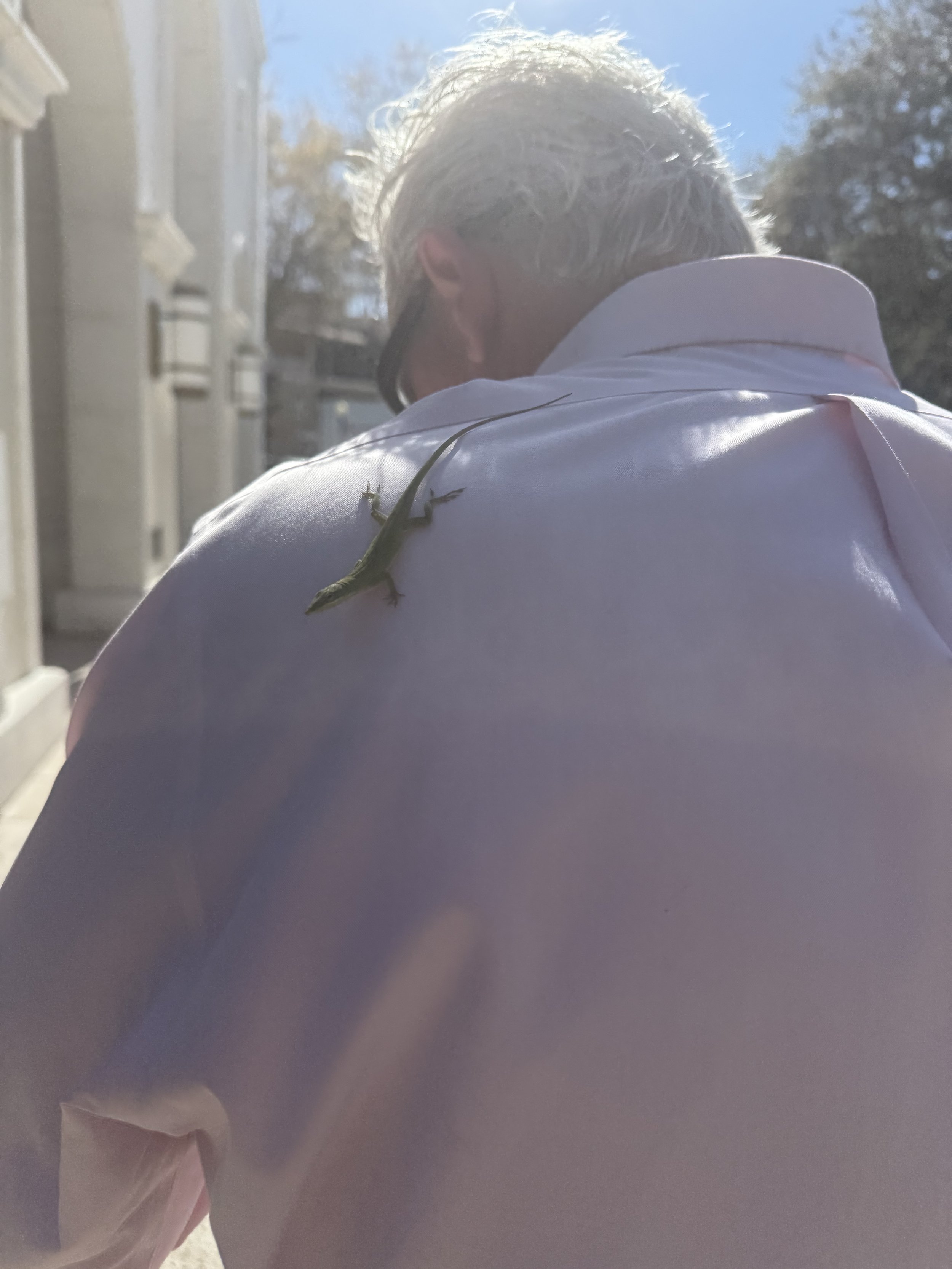 A person with blonde hair, wearing glasses, in a white shirt, standing outside on a sunny day with trees in the background. A small green lizard is perched on their shoulder.