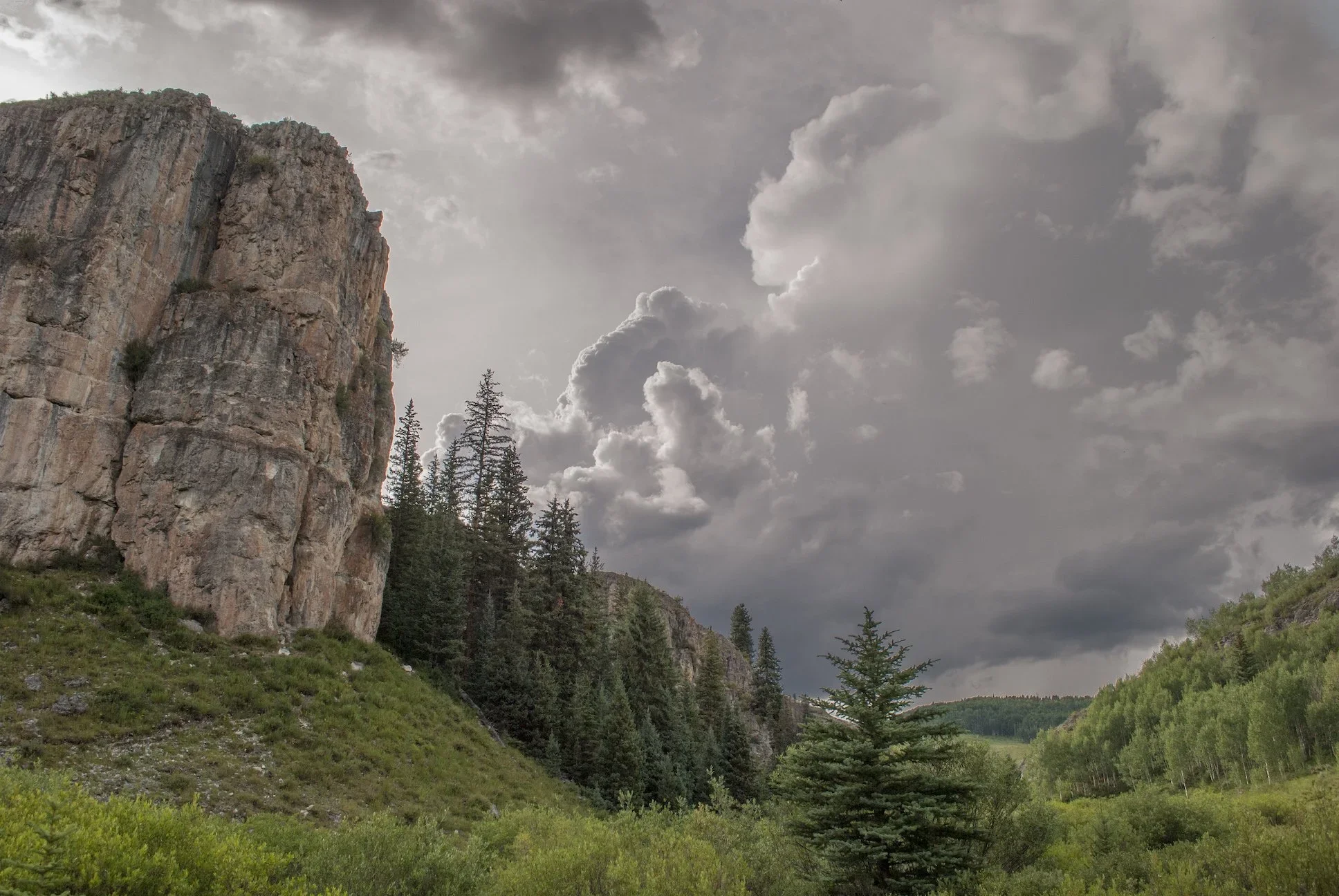 A mountain landscape with a large rocky cliff on the left, pine trees in the middle and background, and dark cloudy sky overhead.