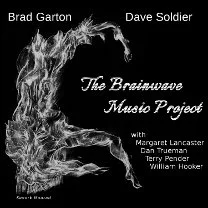 The Brainwave Music Project (2017)