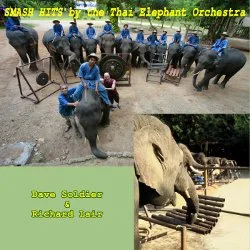 Smash Hits: Thai Elephant Orchestra (2015)