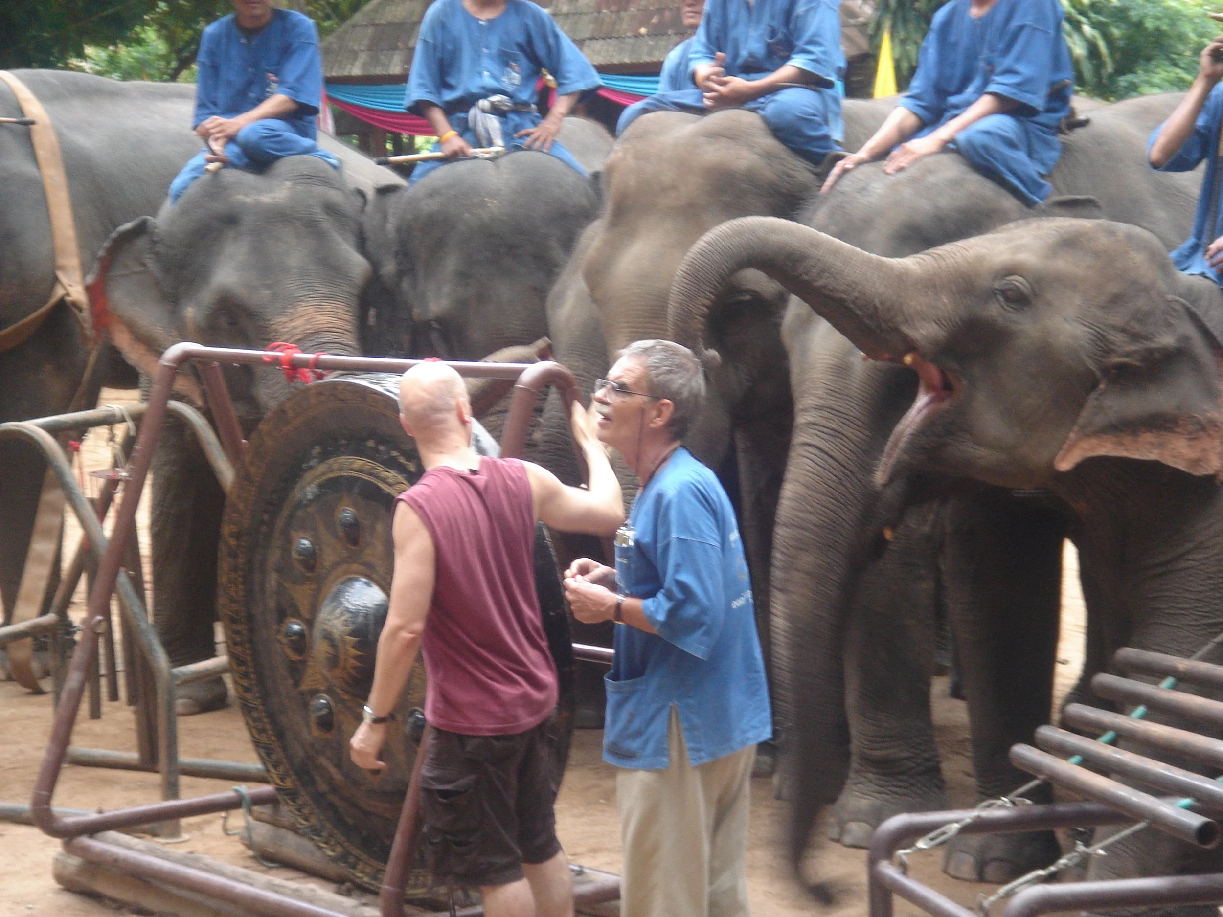 Dave Soldier and Richard Lair, Thai Elephant Orchestra