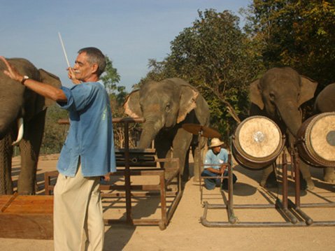 Richard Lair, Thai Elephant Orchestra