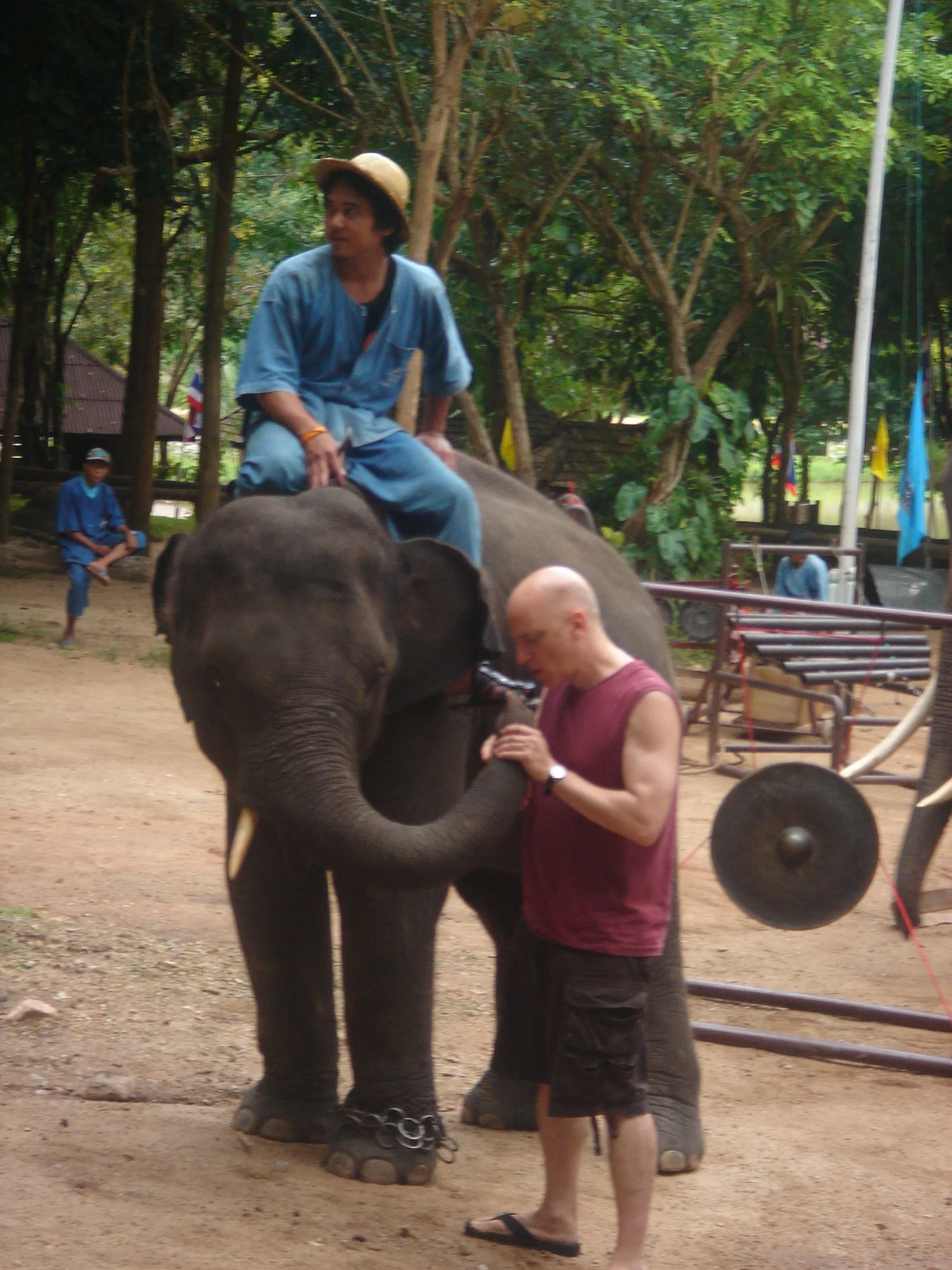 Dave Soldier, Thai Elephant Orchestra