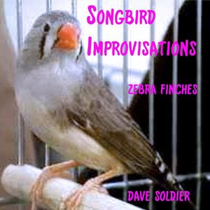 Songbird Instrumentals (2024)