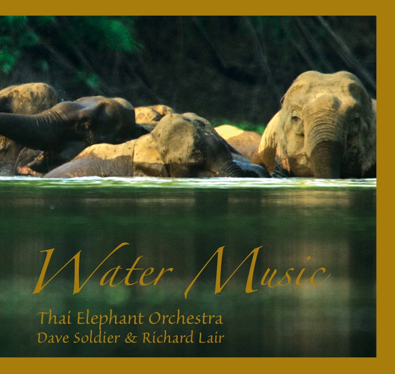 Thai Elephant Orchestra: Water Music (2011)