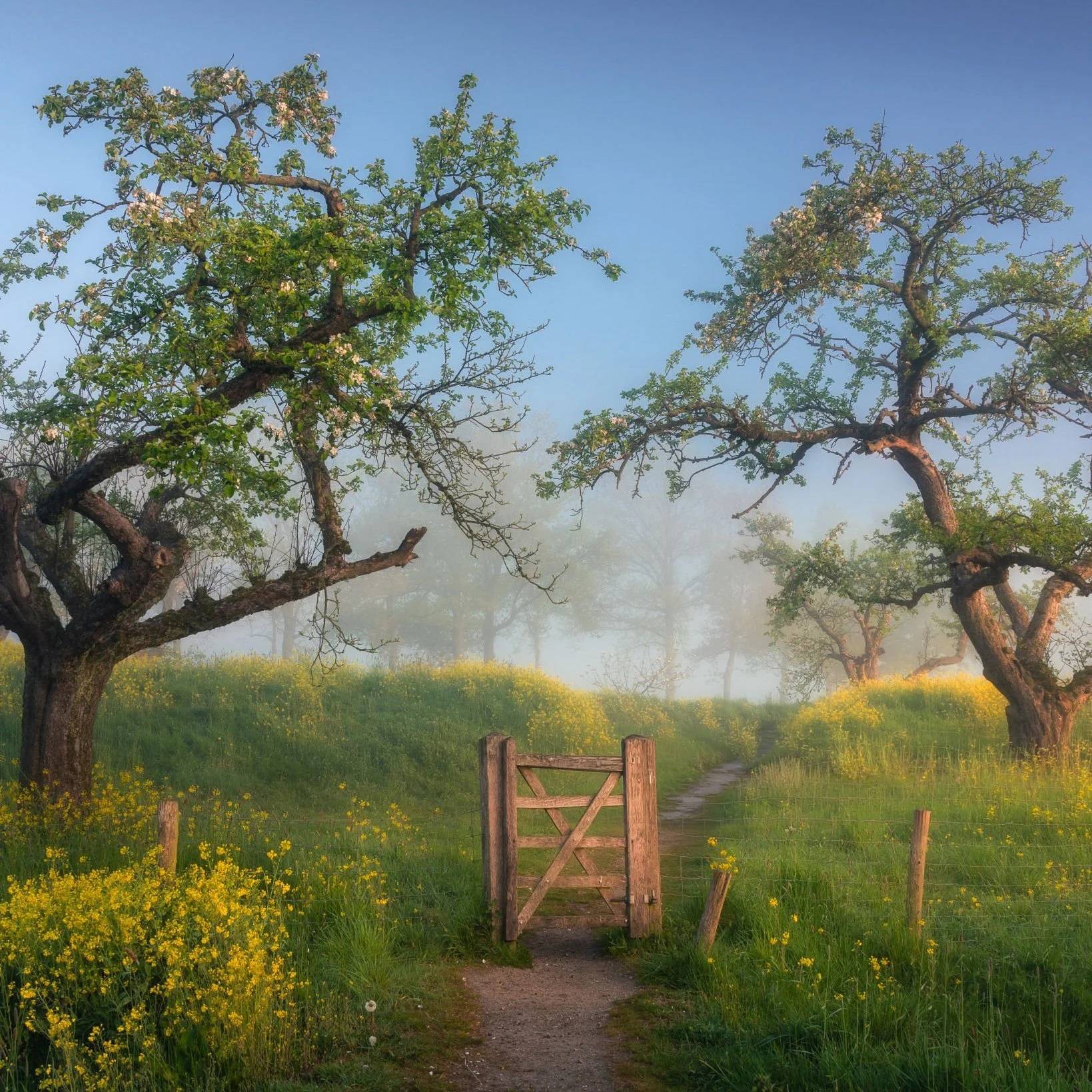 Overcoming Psychological Barriers to Giving