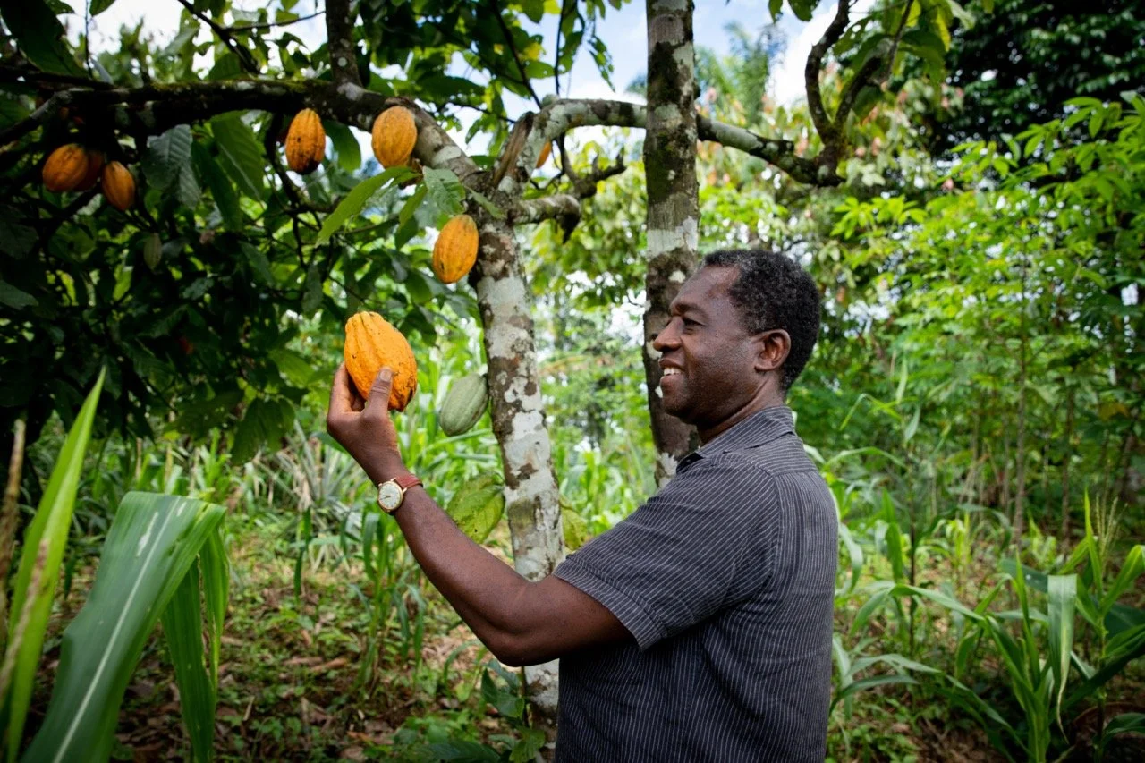 The Agricultural Value Chain Has a Payment Problem. Here Is How It Gets Solved. 