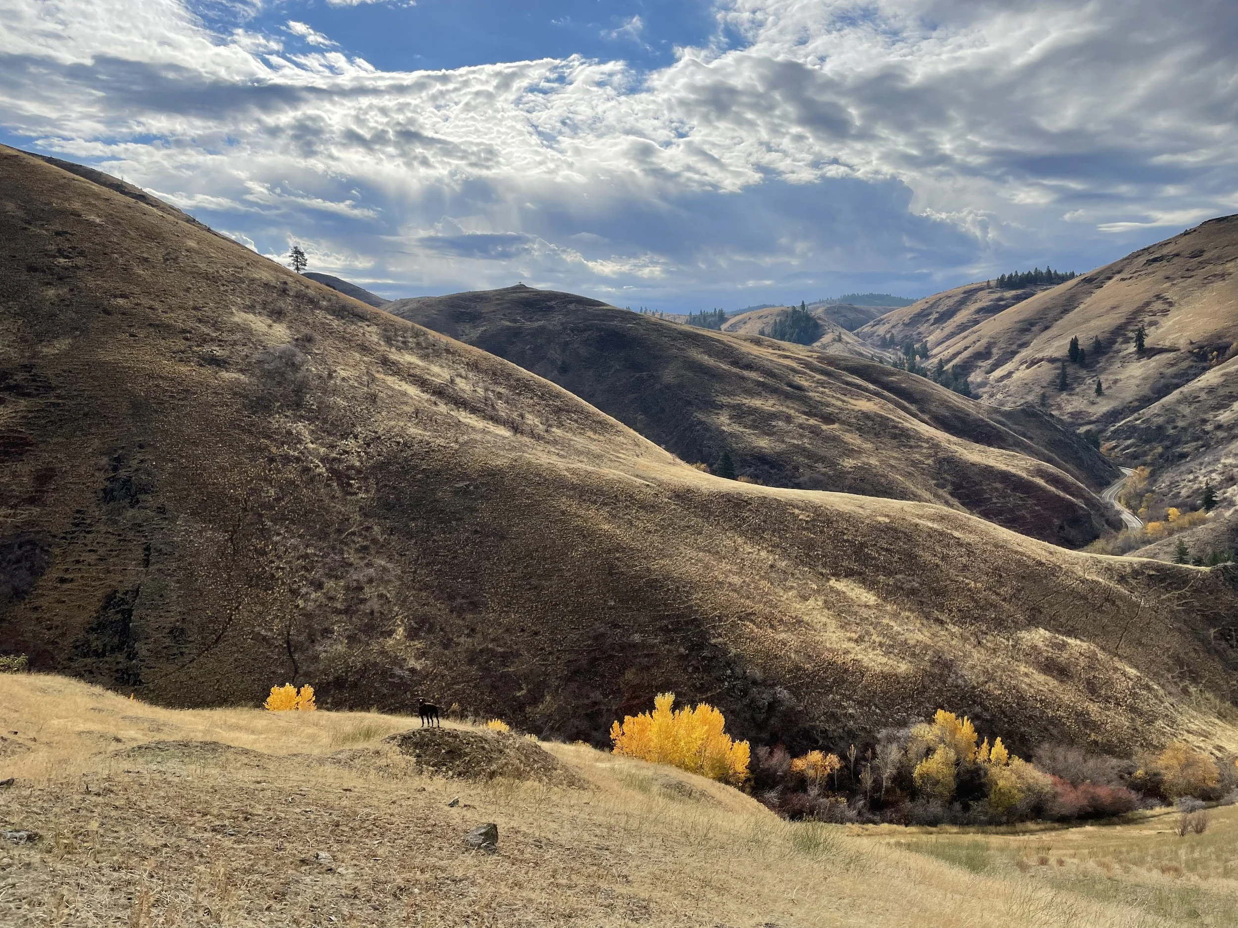 Scenic view of rolling hills with dry grass and sparse trees, under a partly cloudy sky with sunlight filtering through clouds.