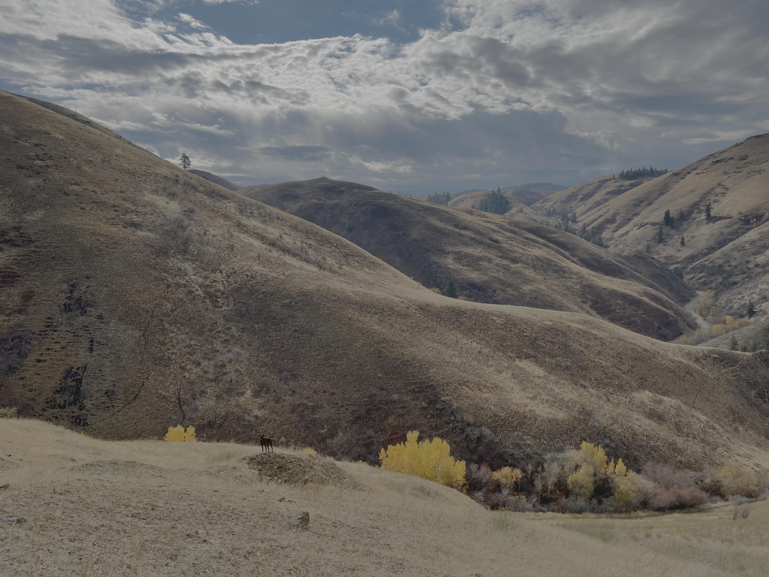 Hilly landscape in Idaho with clouds, blue sky, and fall colors, photograph by Gretchen Arguedas