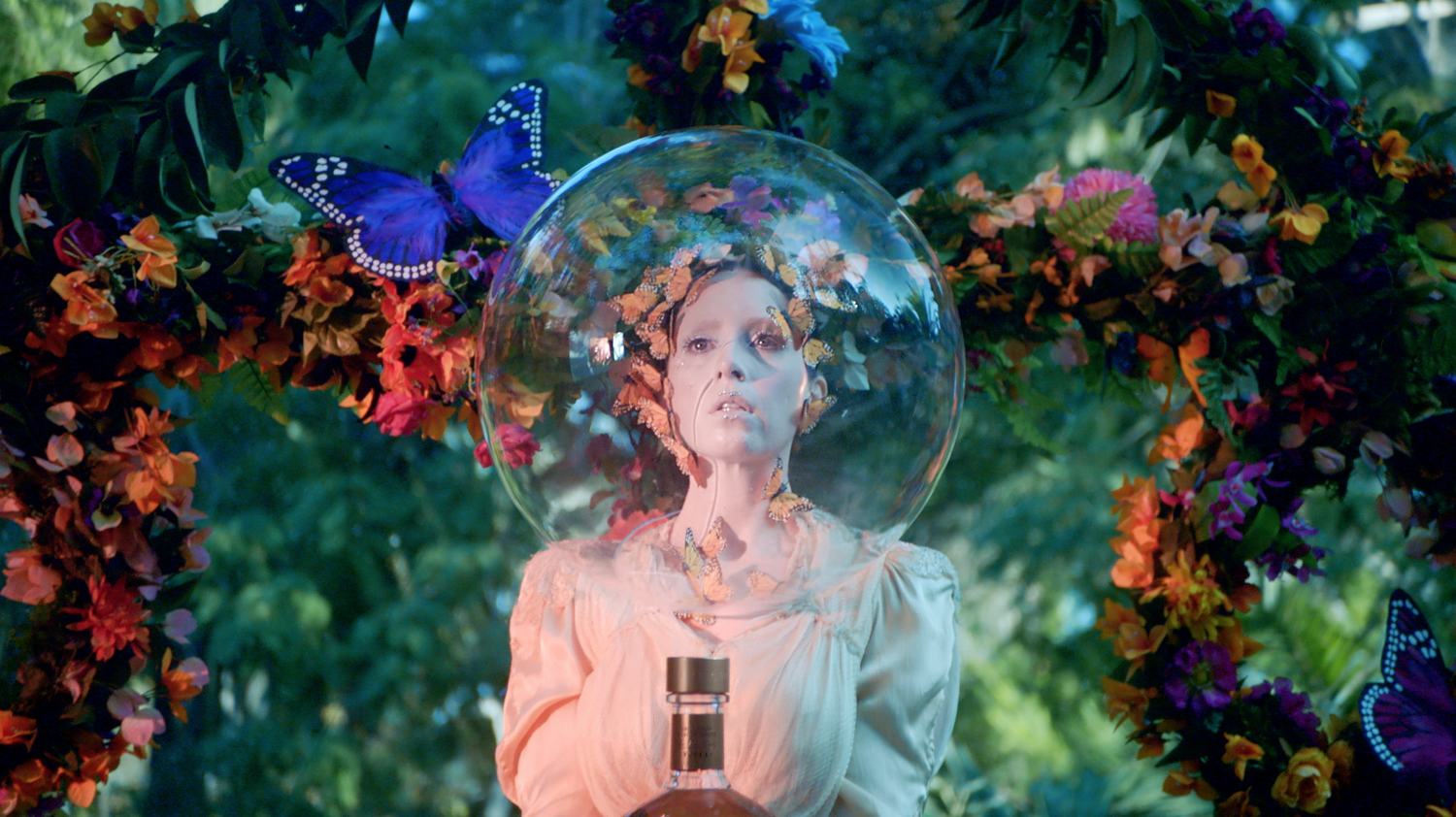 Absolut Vodka | Seasonal Dreaming