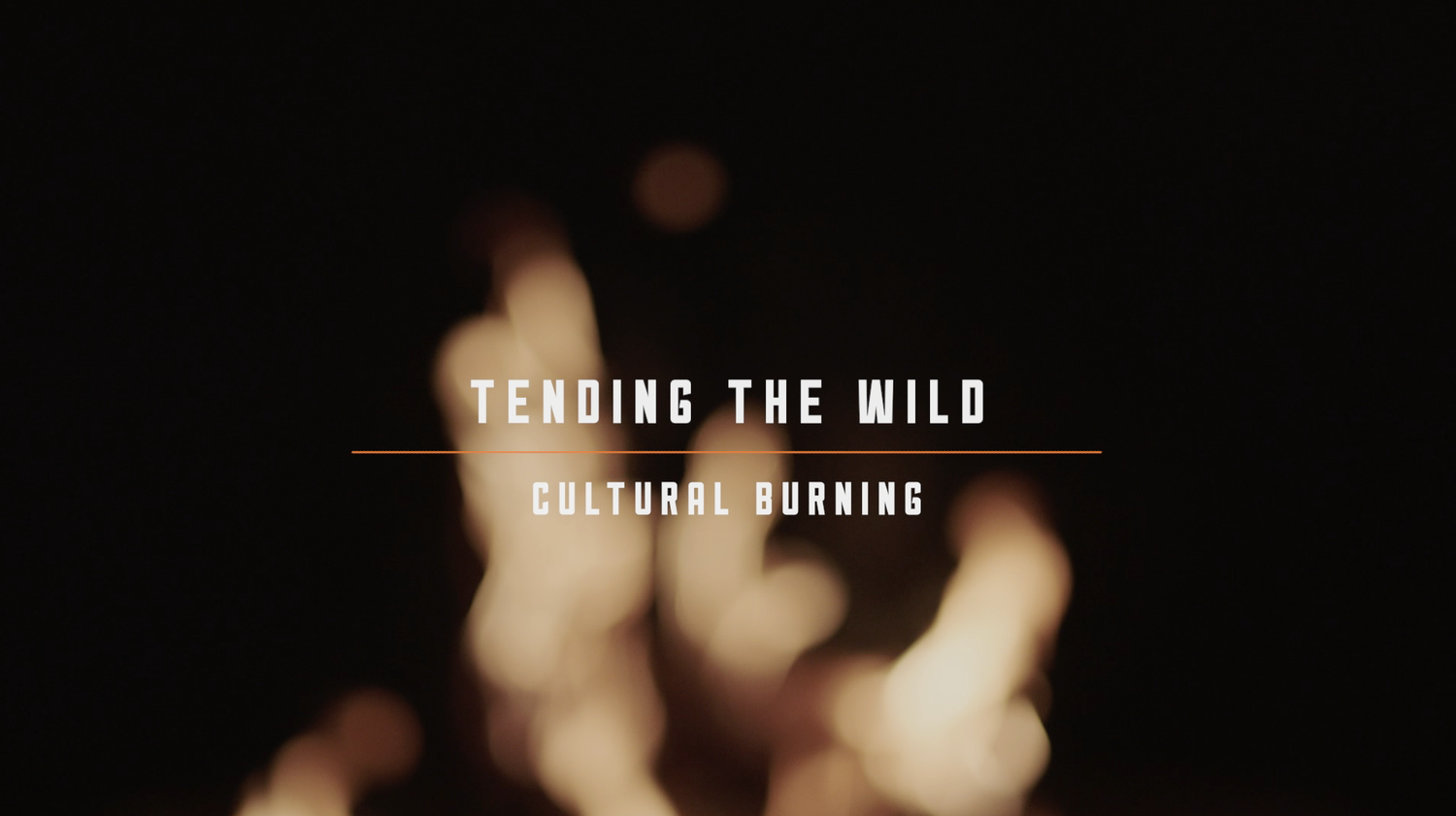 Tending The Wild: Cultural Burning