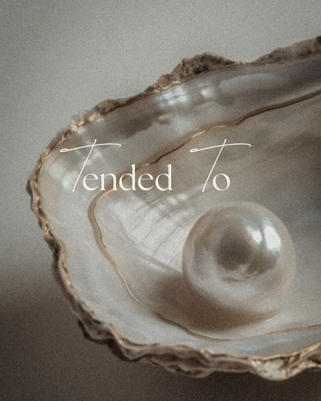 Close-up of an oyster shell with a pearl inside and the words 'Tended to' written across the image.