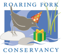 Birthday Dipper - RFC logo