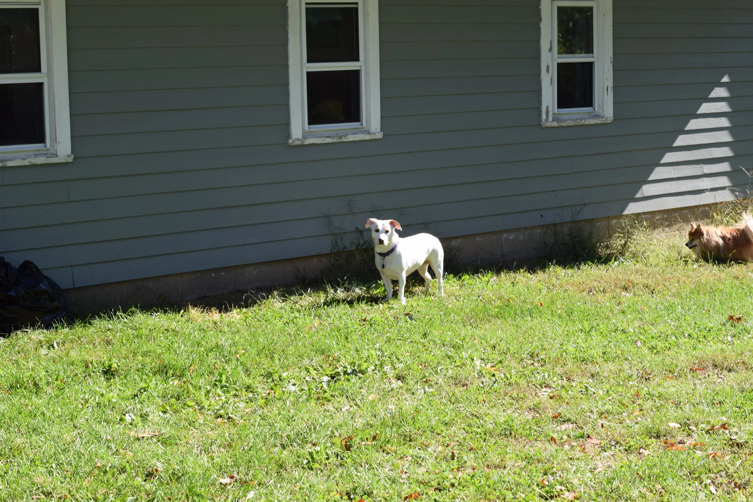 DSC_0969.JPG