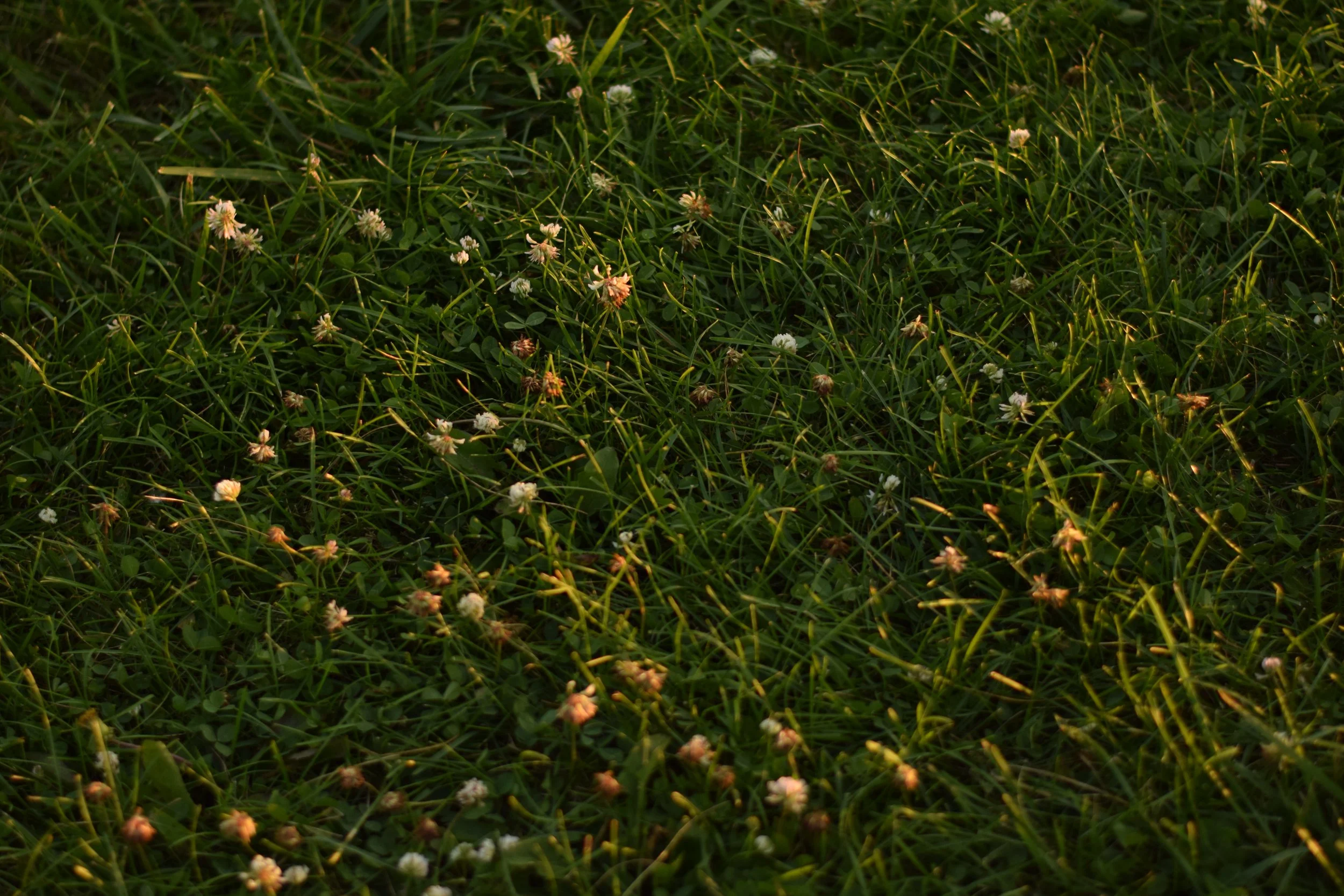 DSC_0839.JPG
