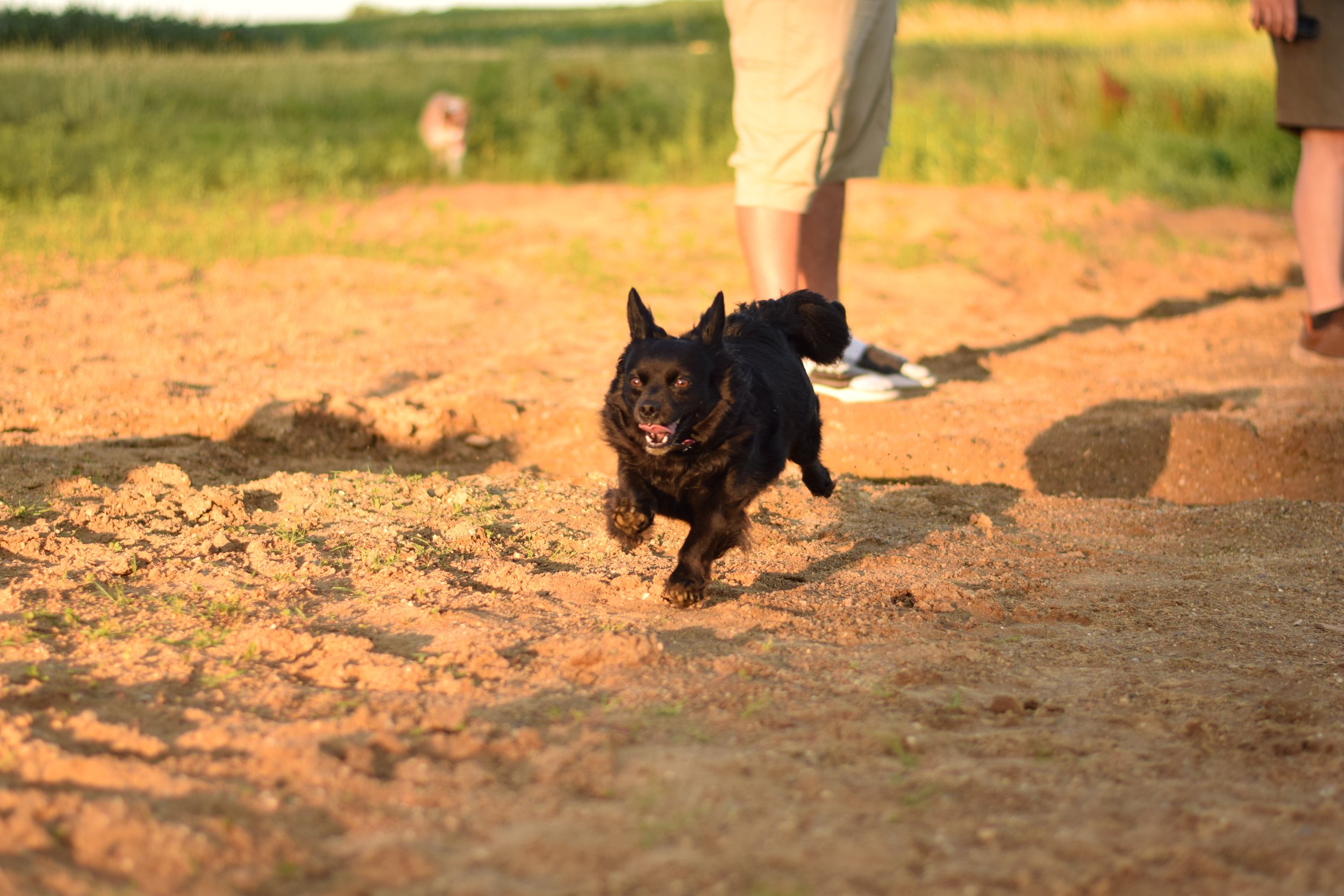 DSC_0760.JPG