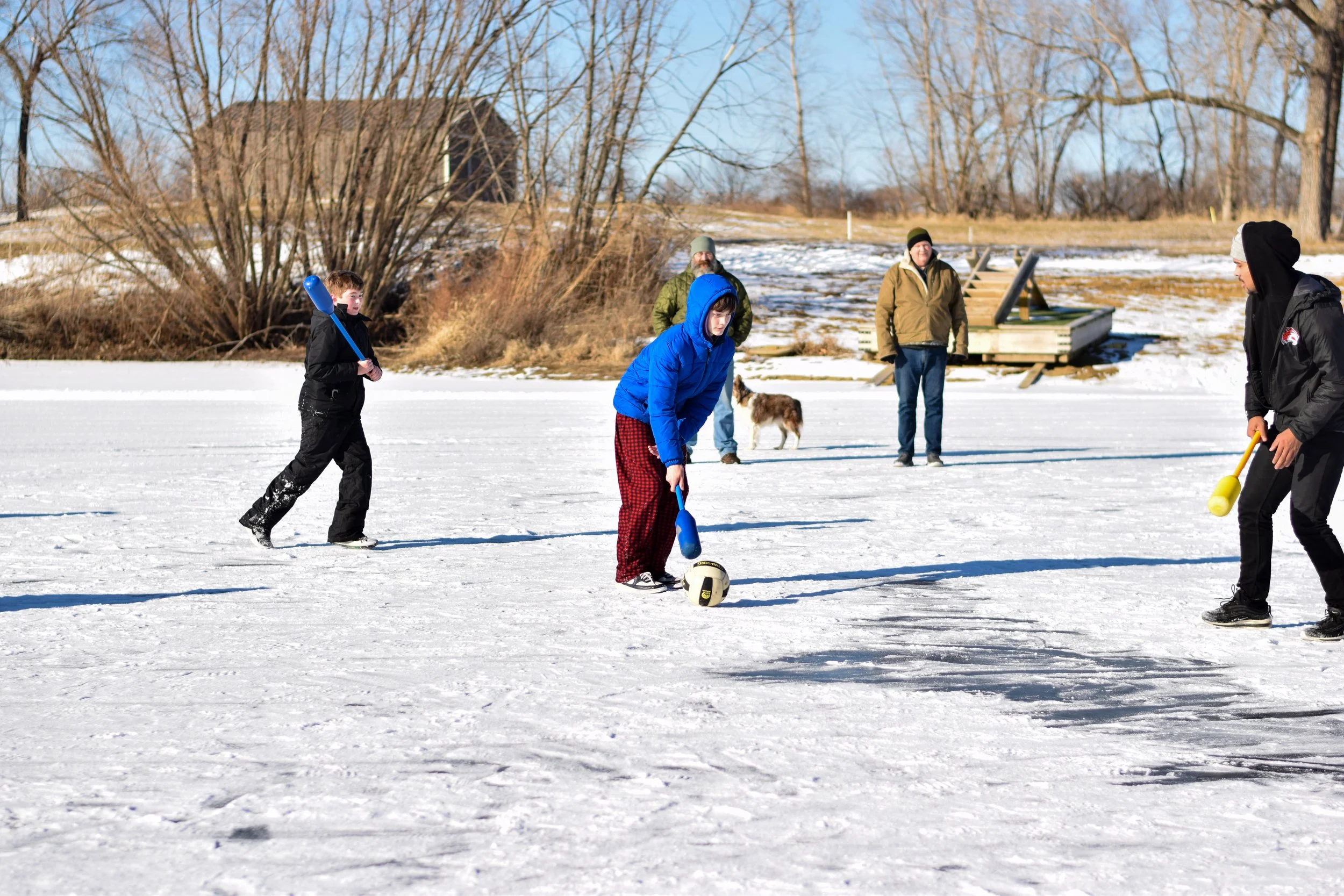 DSC_0463.jpg