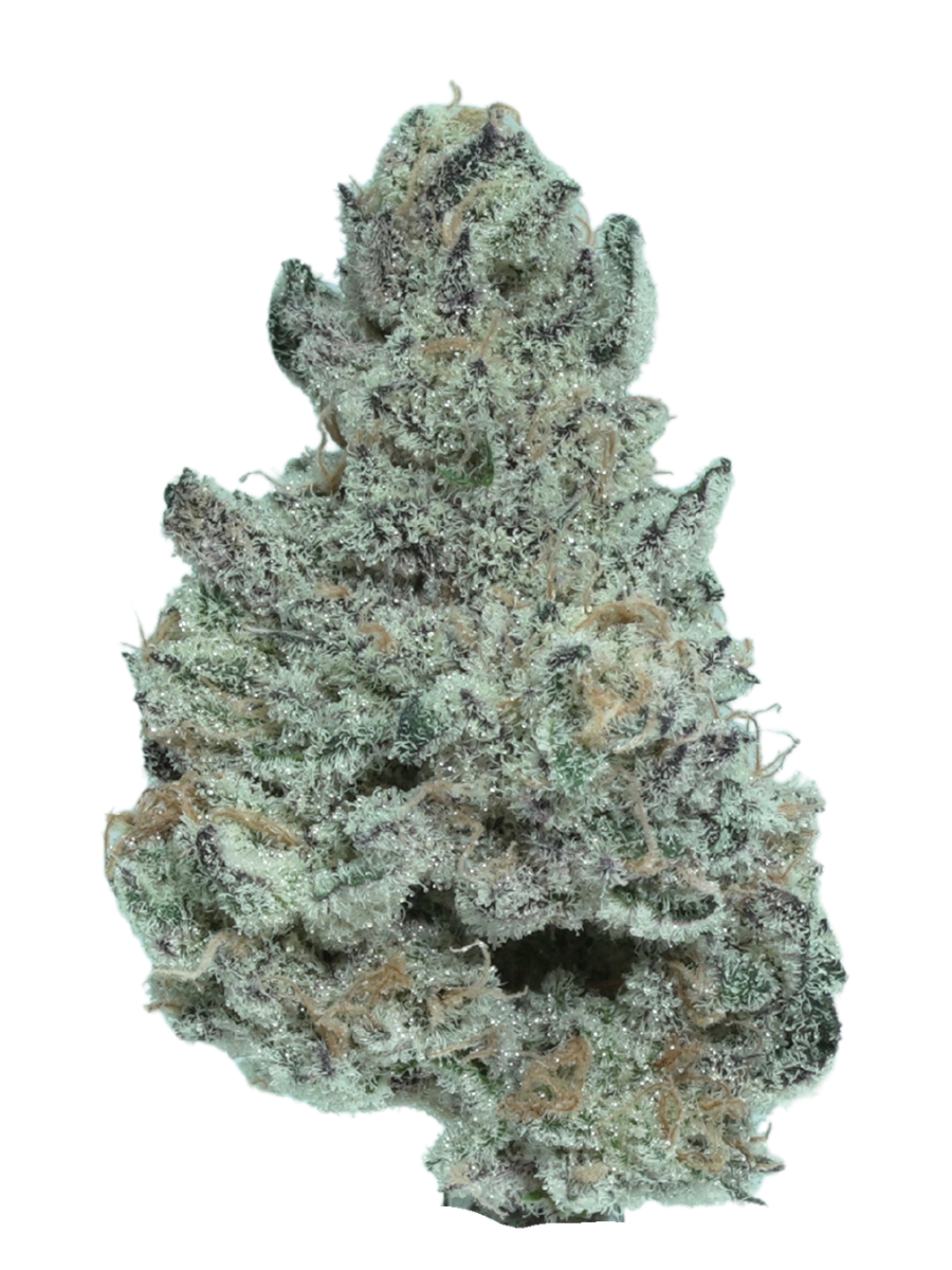COOLIO | SATIVA