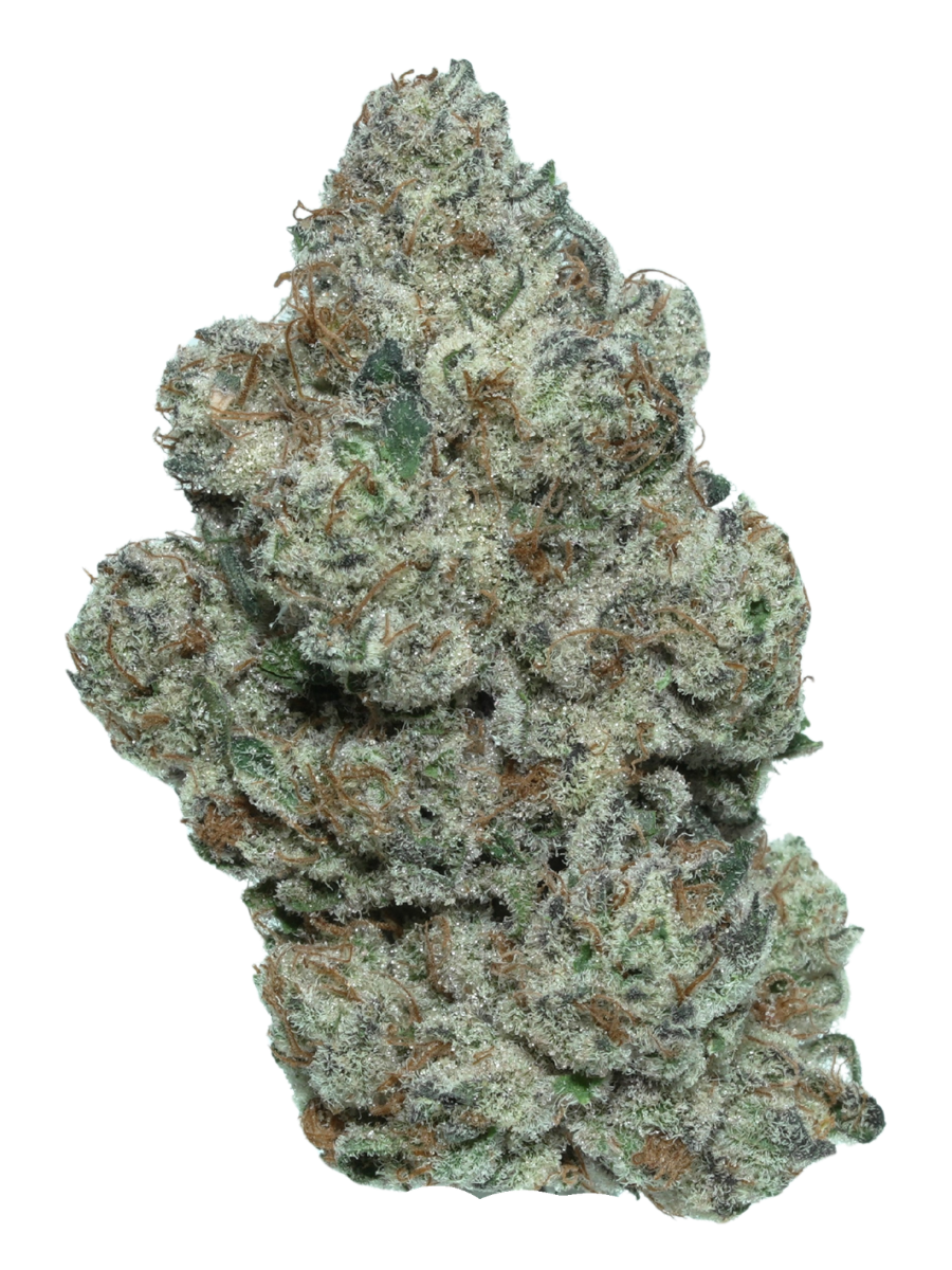 TRICH BEAST | HYBRID