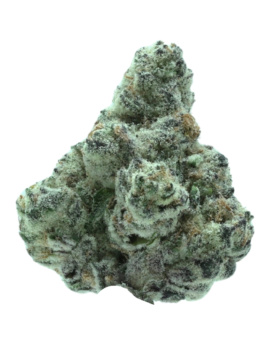 SLAP &amp; TICKLE | INDICA