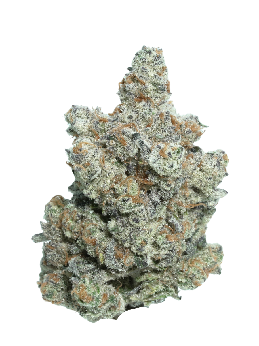 FROZEN BAG | SATIVA