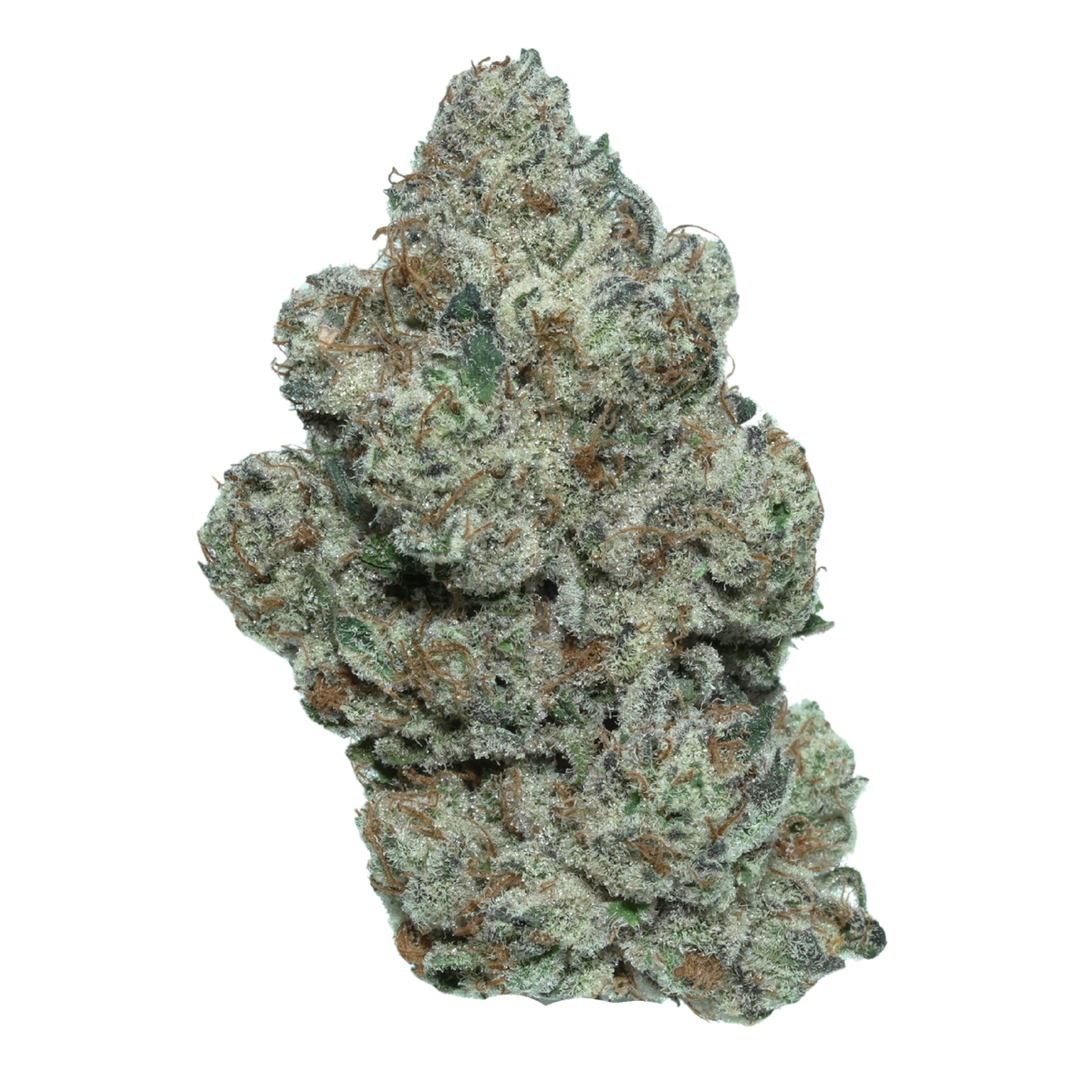 Trich Beast hybrid cannabis flower, small-batch craft grown by Blügrass in Nicholasville, Kentucky