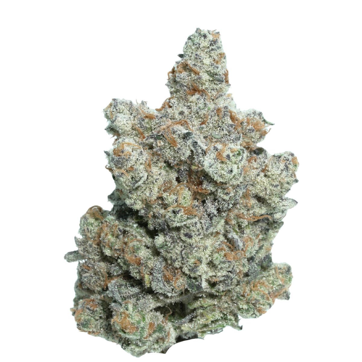 Frozen Bag sativa cannabis flower, small-batch craft grown by Blügrass in Nicholasville, Kentucky