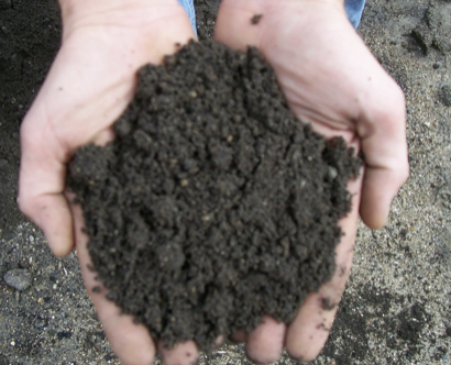 Screened Topsoil