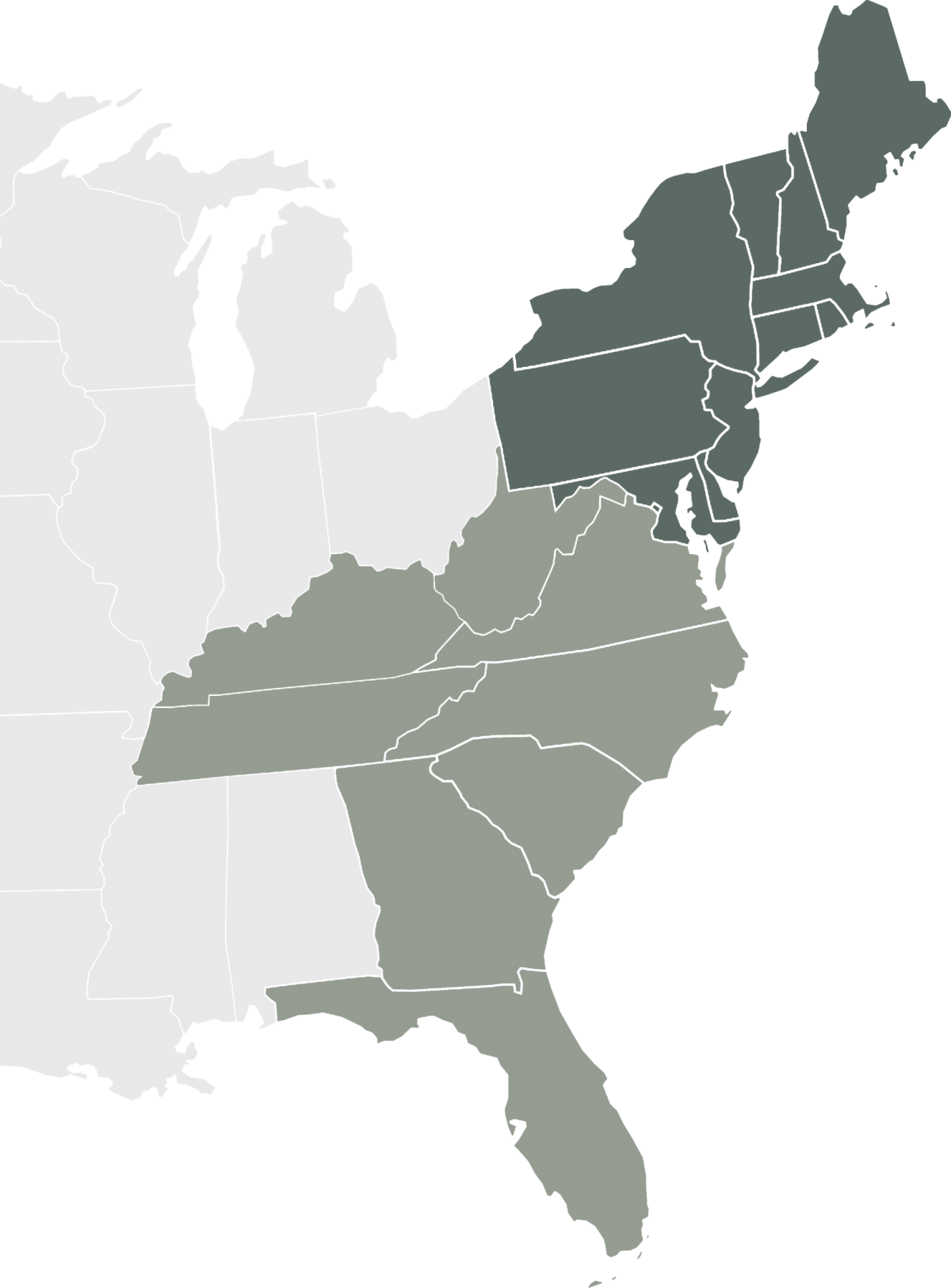 Horse Transportation Company Serving the Eastern United States