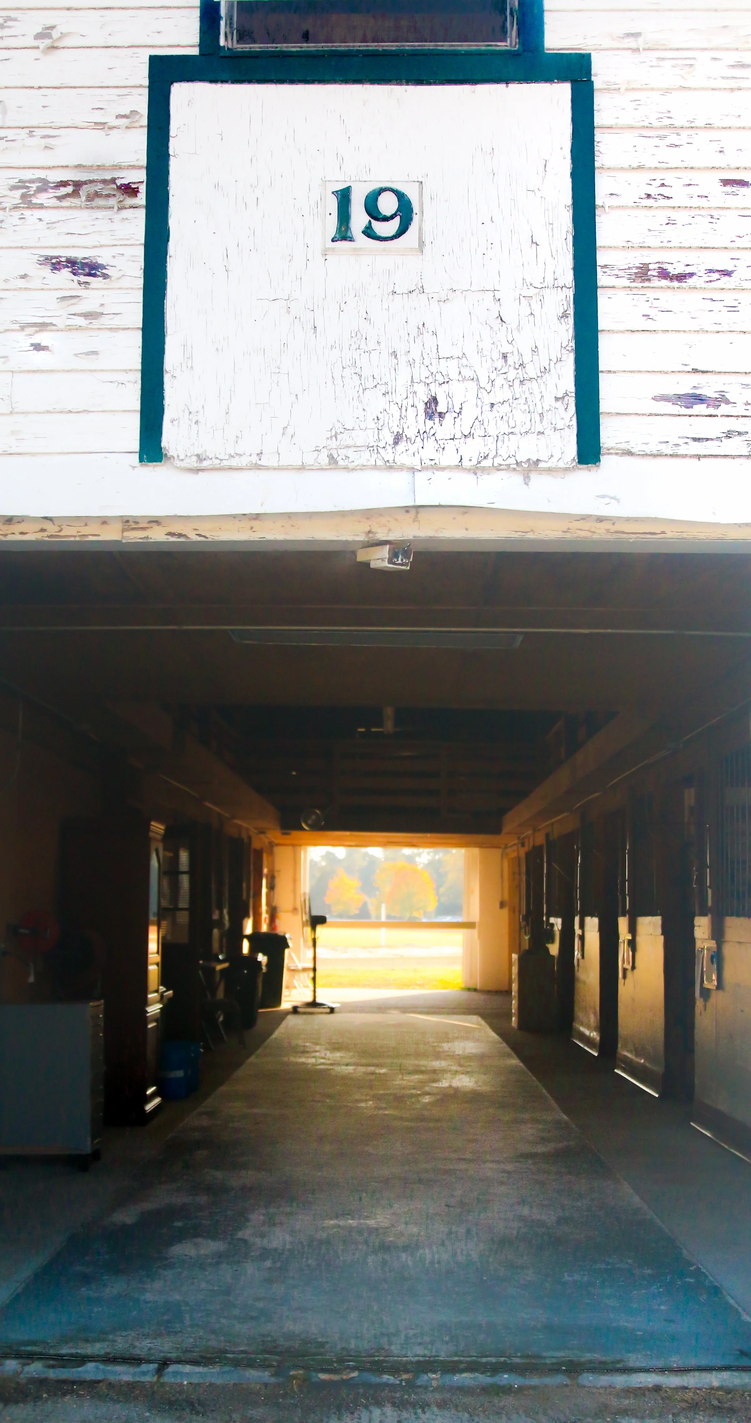 Horse Transportation Services